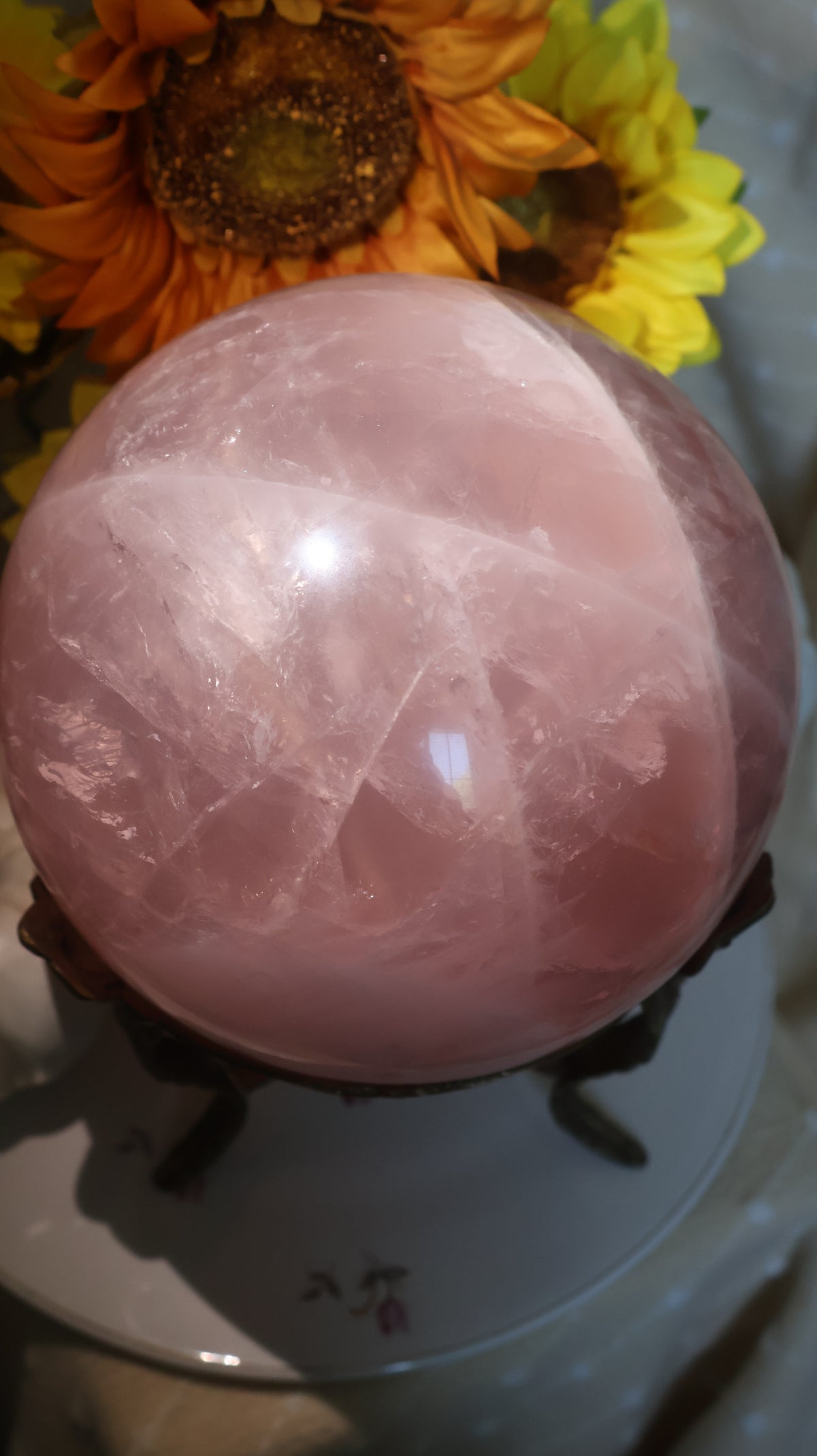✨Statement✨ 15lb Golden Asterism, Duo-Toned Rutile Filled Star Rose Quartz Sphere