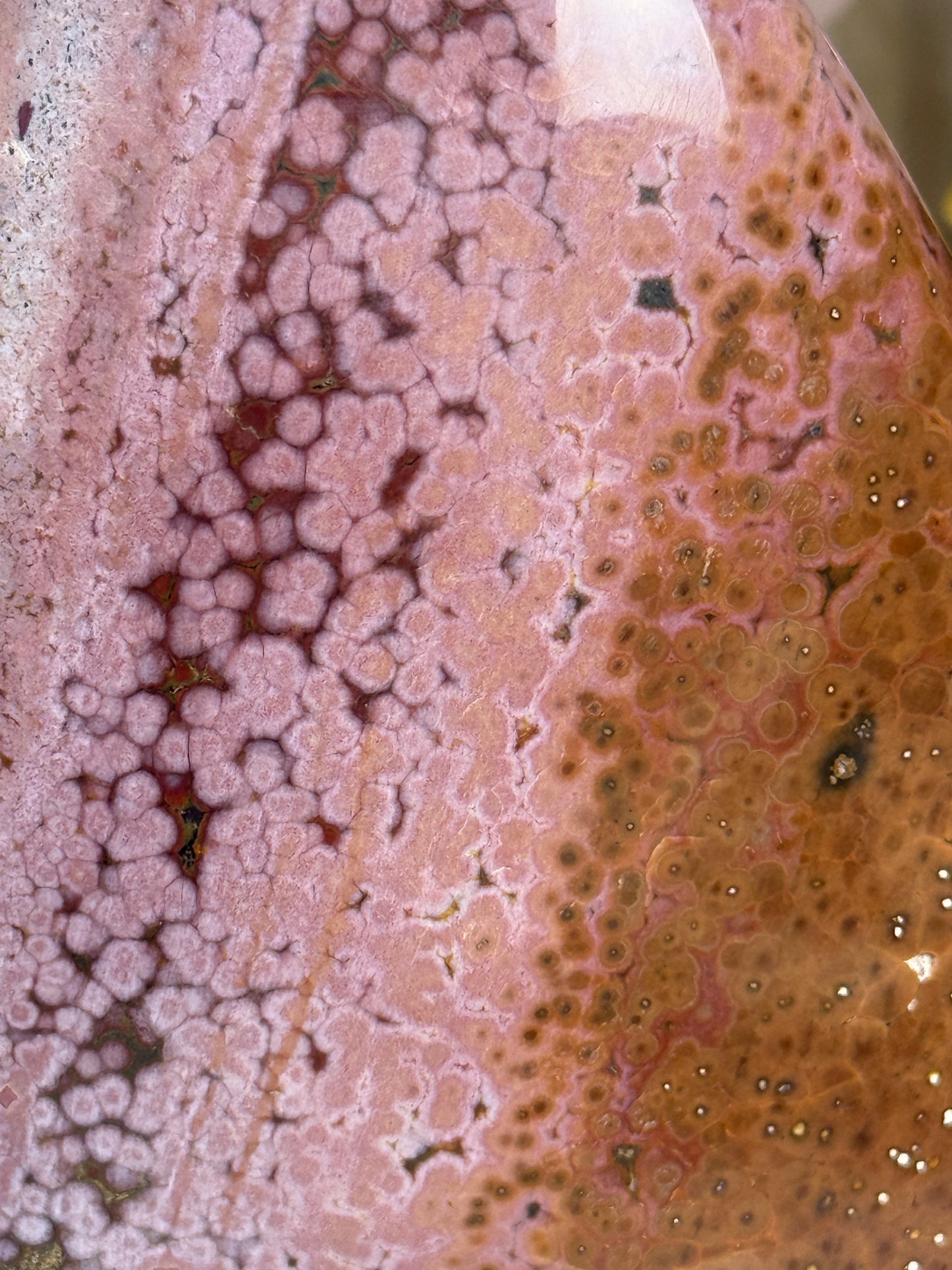 Chocolate Strawberry Orby Sea Jasper Freeform🍓🍫