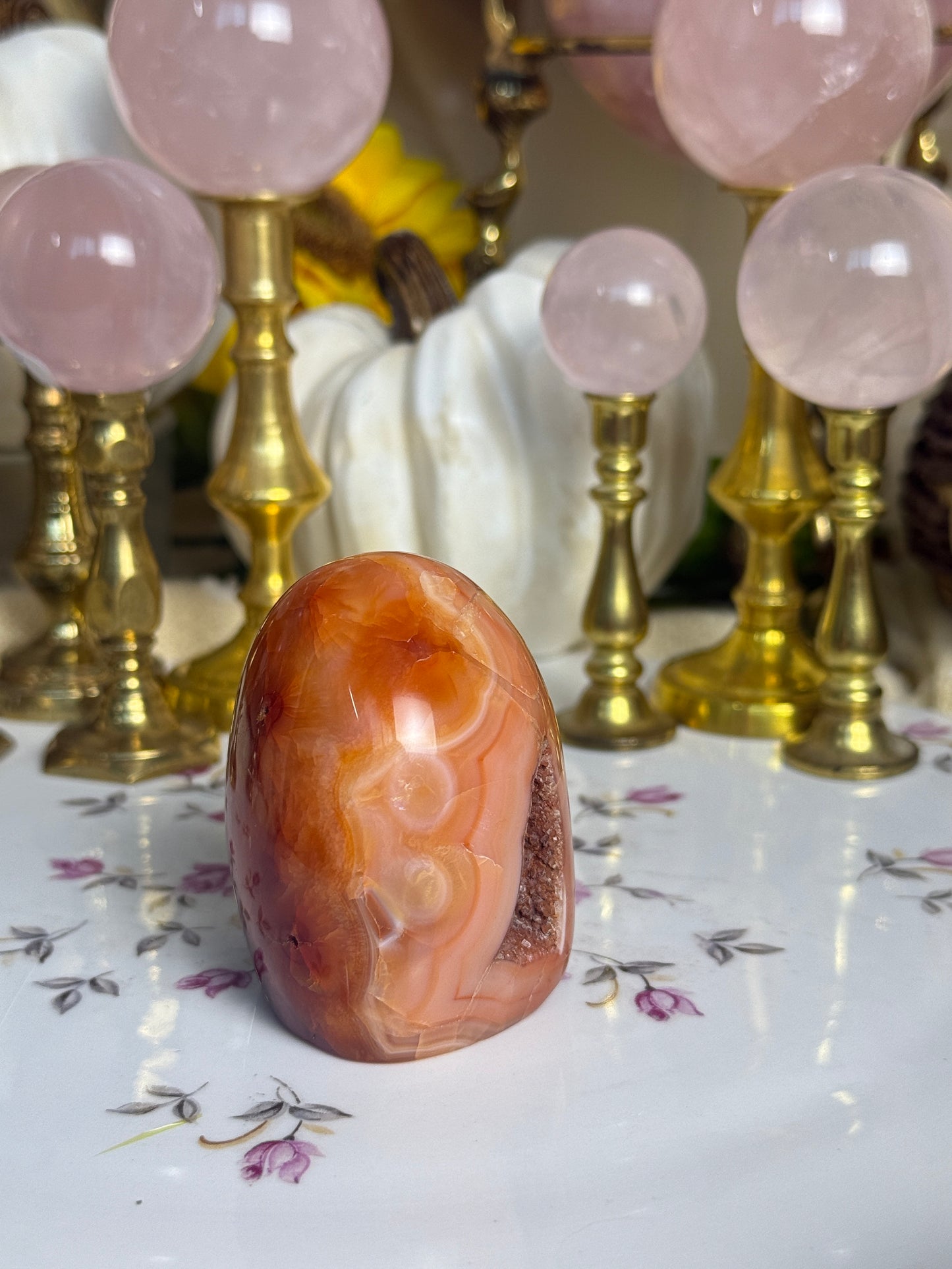 Coral Pink Banded Agave Cave Carnelian Freeform
