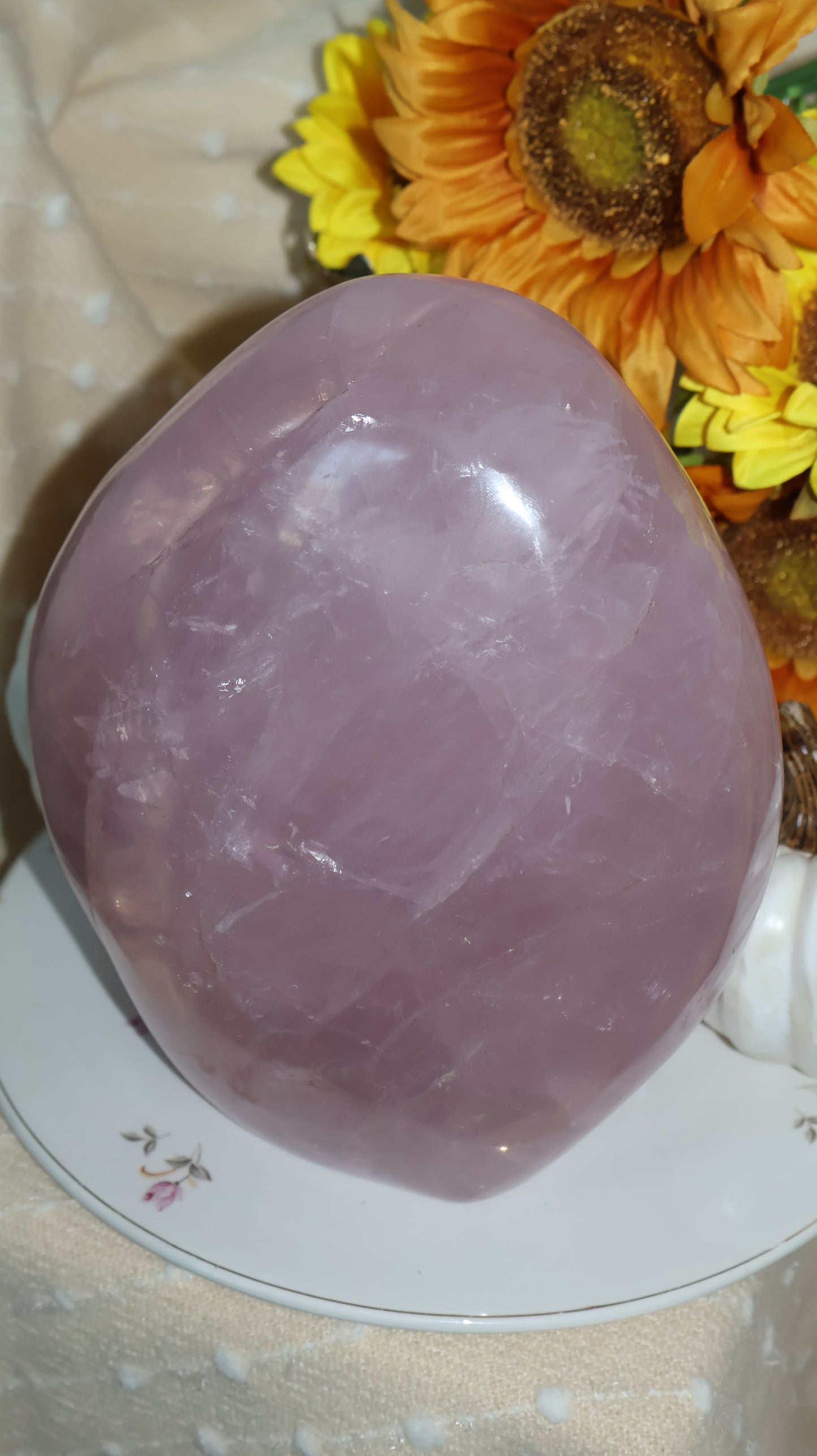 ✨Statement✨ 15lb Silver Asterism Lavender Star Rose Quartz Freeform