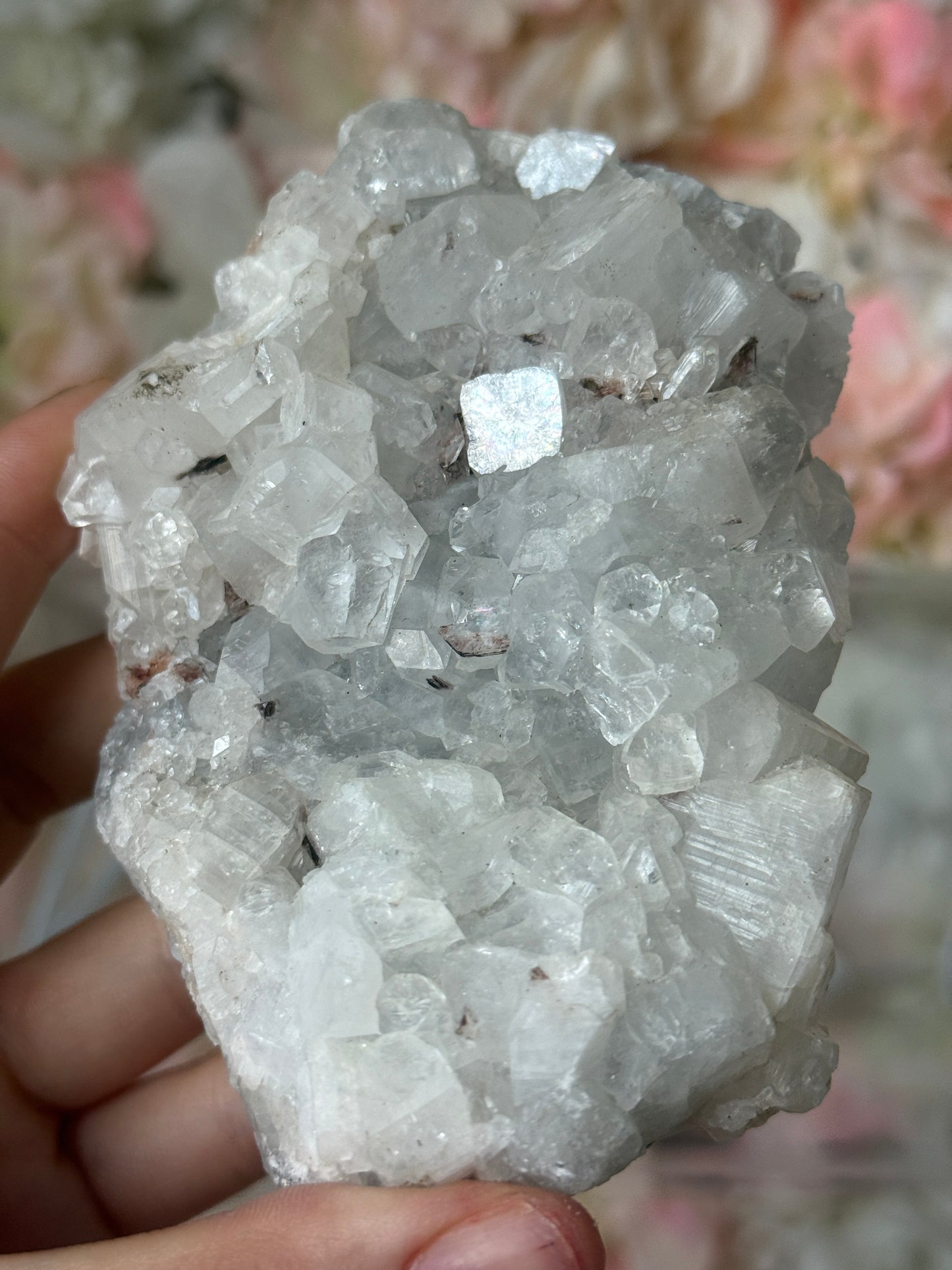 Diamond apothyllite specimen D πβ¨