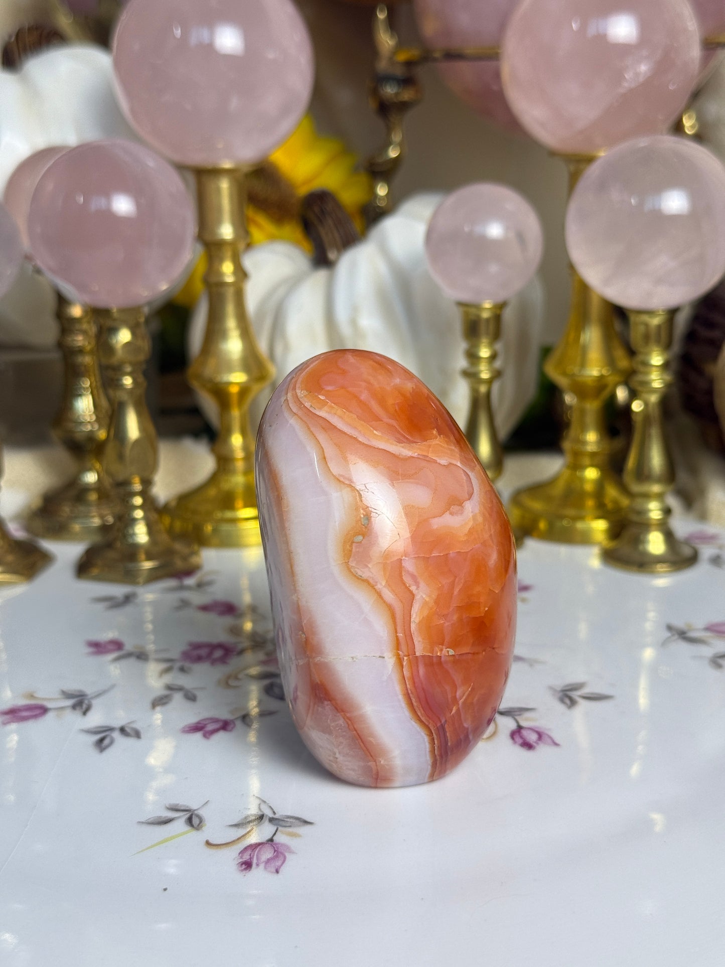Gorgeous White Coral Banded Carnelian Freeform