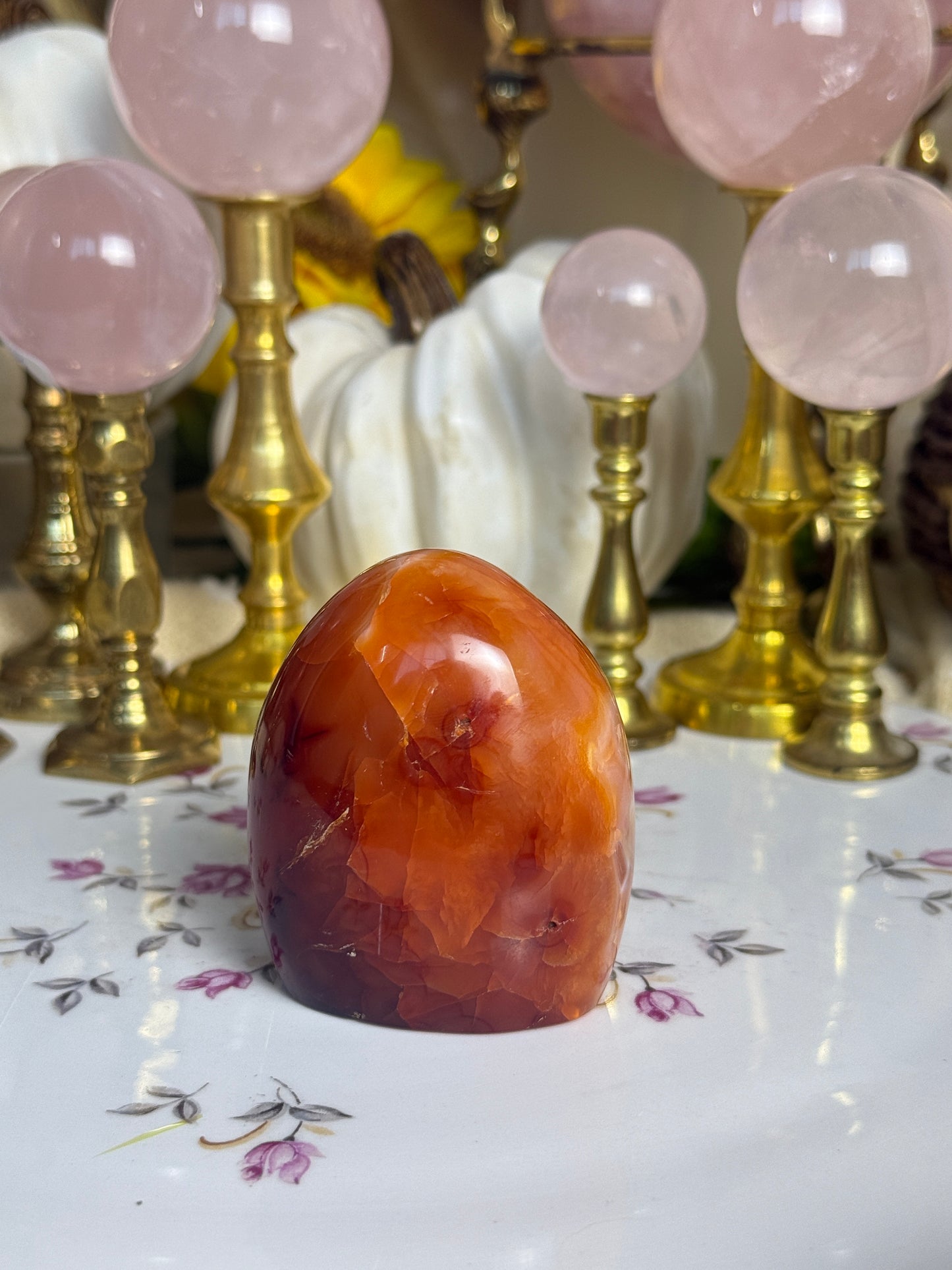 Coral Pink Banded Agave Cave Carnelian Freeform