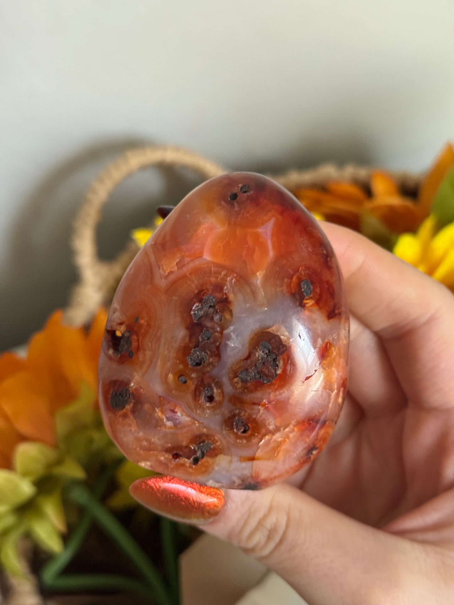 Rainbow Banded Coral Carnelian Freeform