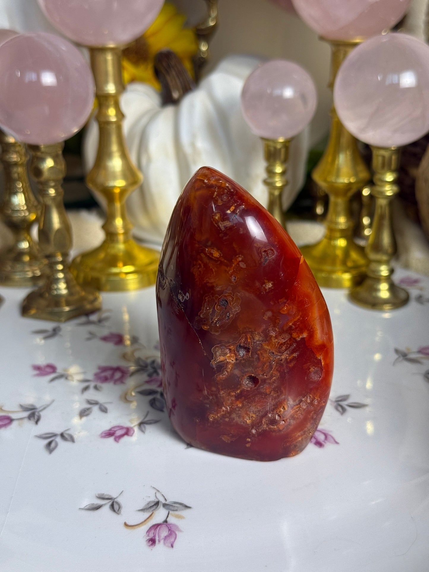 STUNNINGLY Unique Duo Toned Quartz Droozy Carnelian Freeform