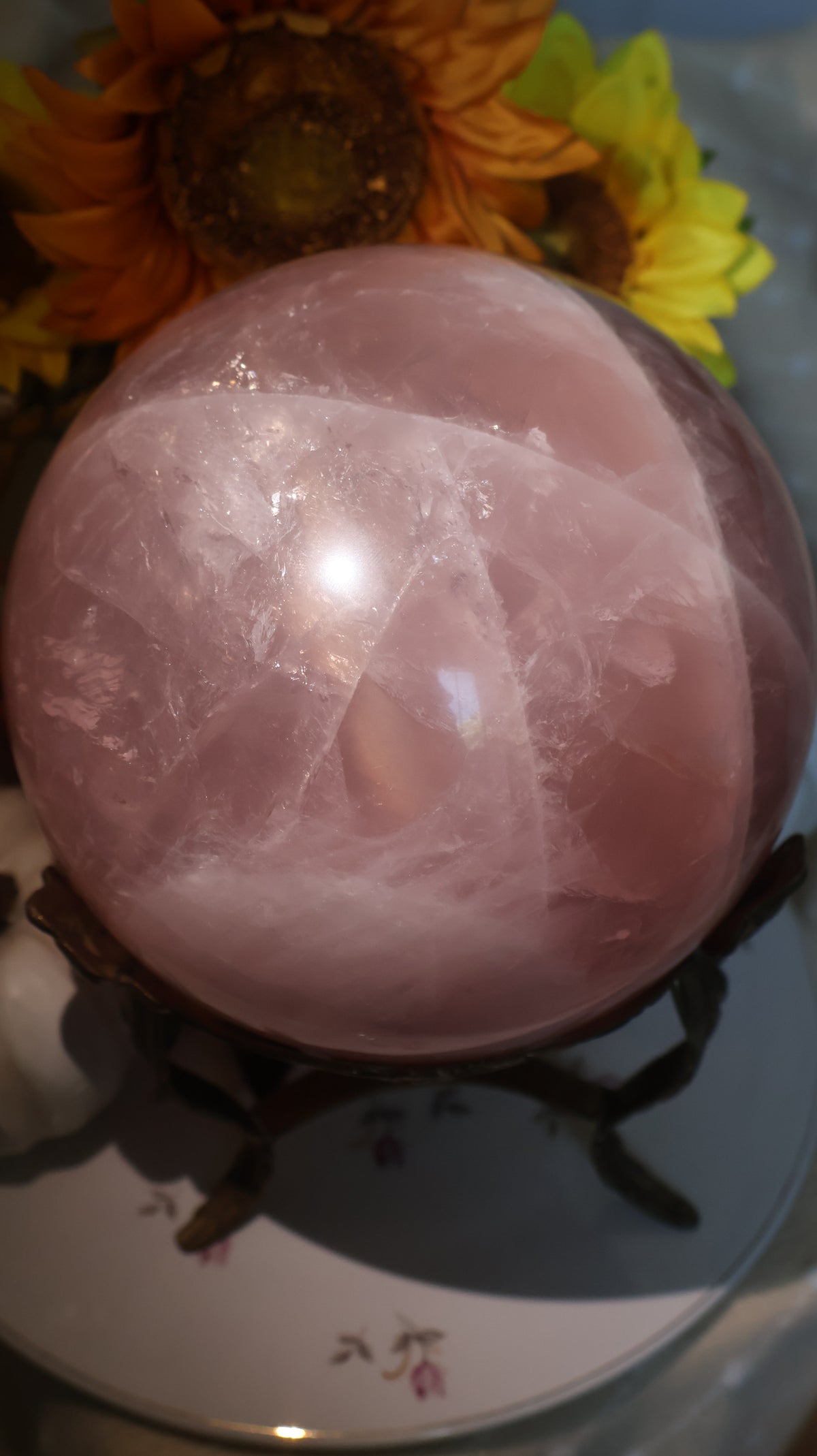 ✨Statement✨ 15lb Golden Asterism, Duo-Toned Rutile Filled Star Rose Quartz Sphere