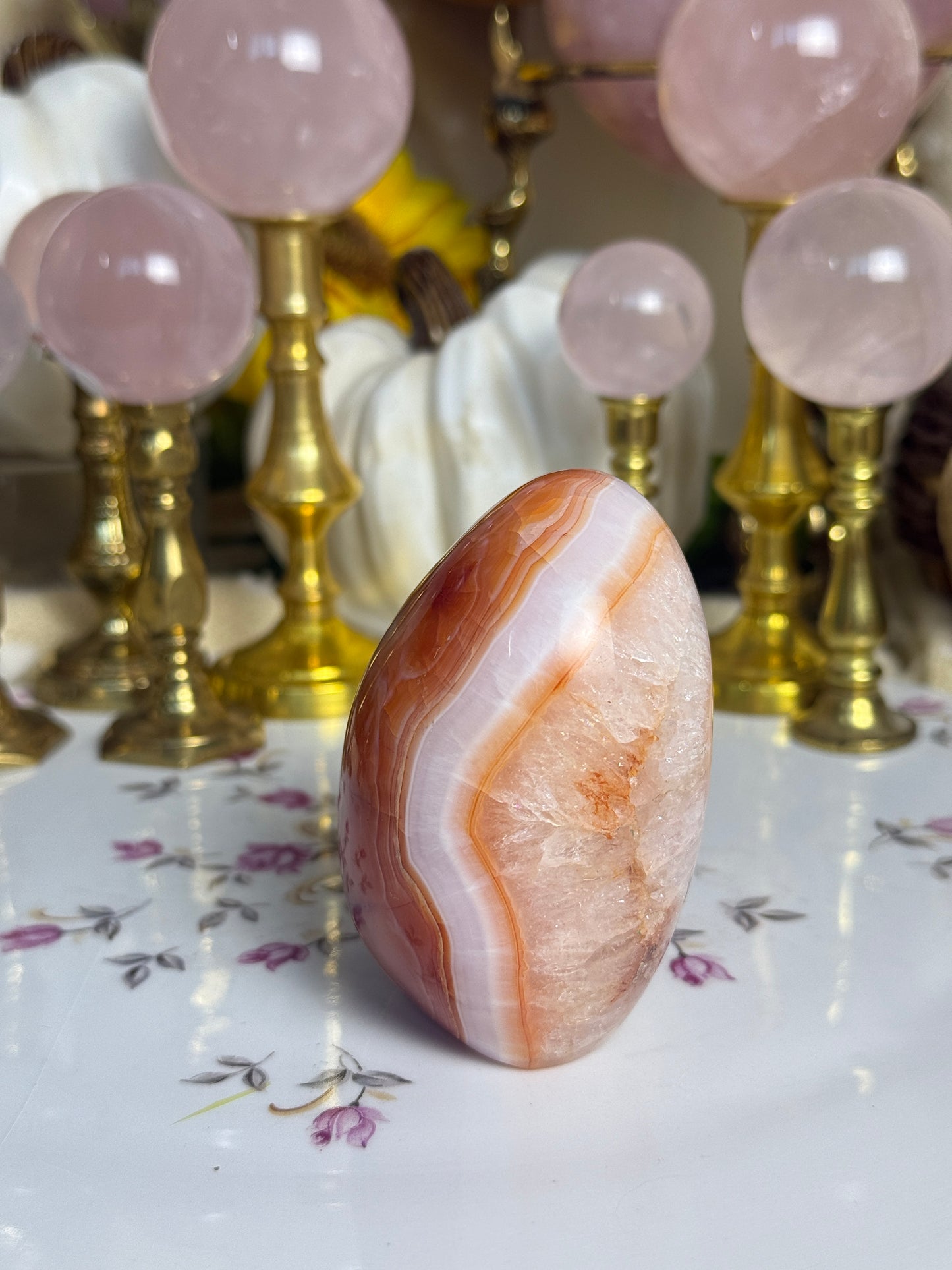 Gorgeous White Coral Banded Carnelian Freeform