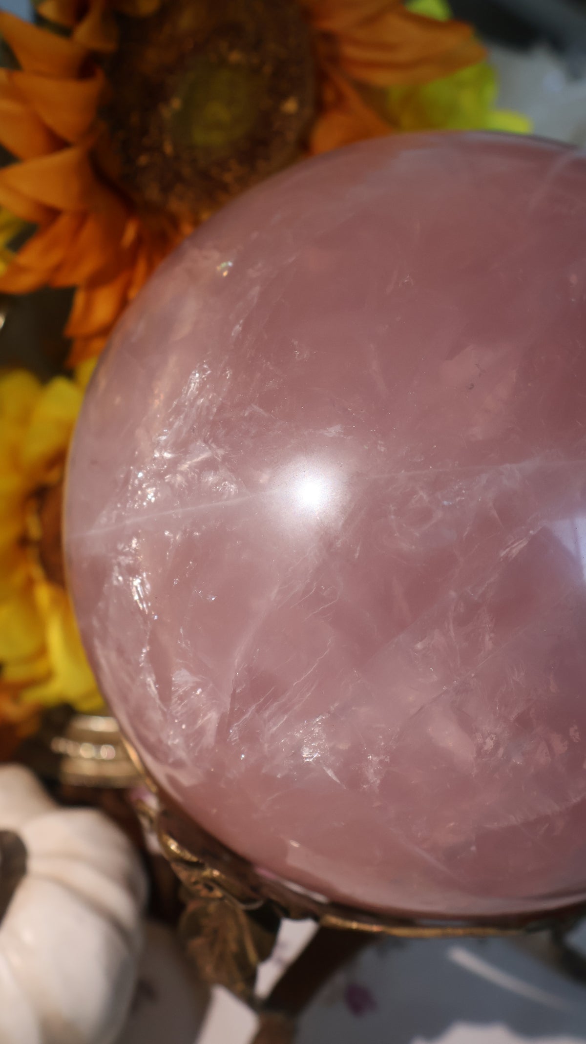 ✨Statement✨ 15lb Golden Asterism, Duo-Toned Rutile Filled Star Rose Quartz Sphere