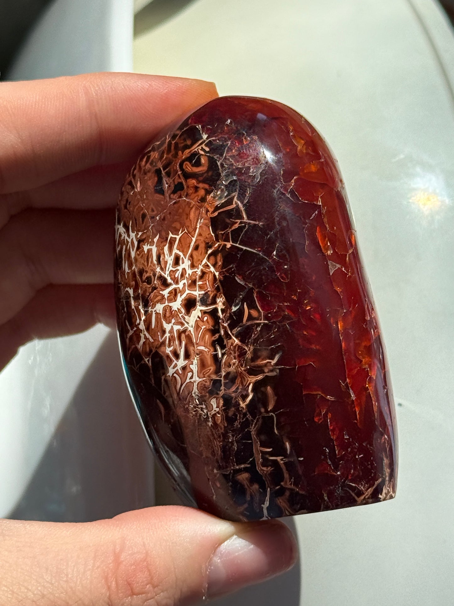 Funky One of a Kind Chocolate Carnelian Freeform