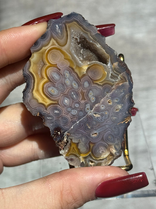 Rare Polymorphous Cayomito Agate ✨🎀