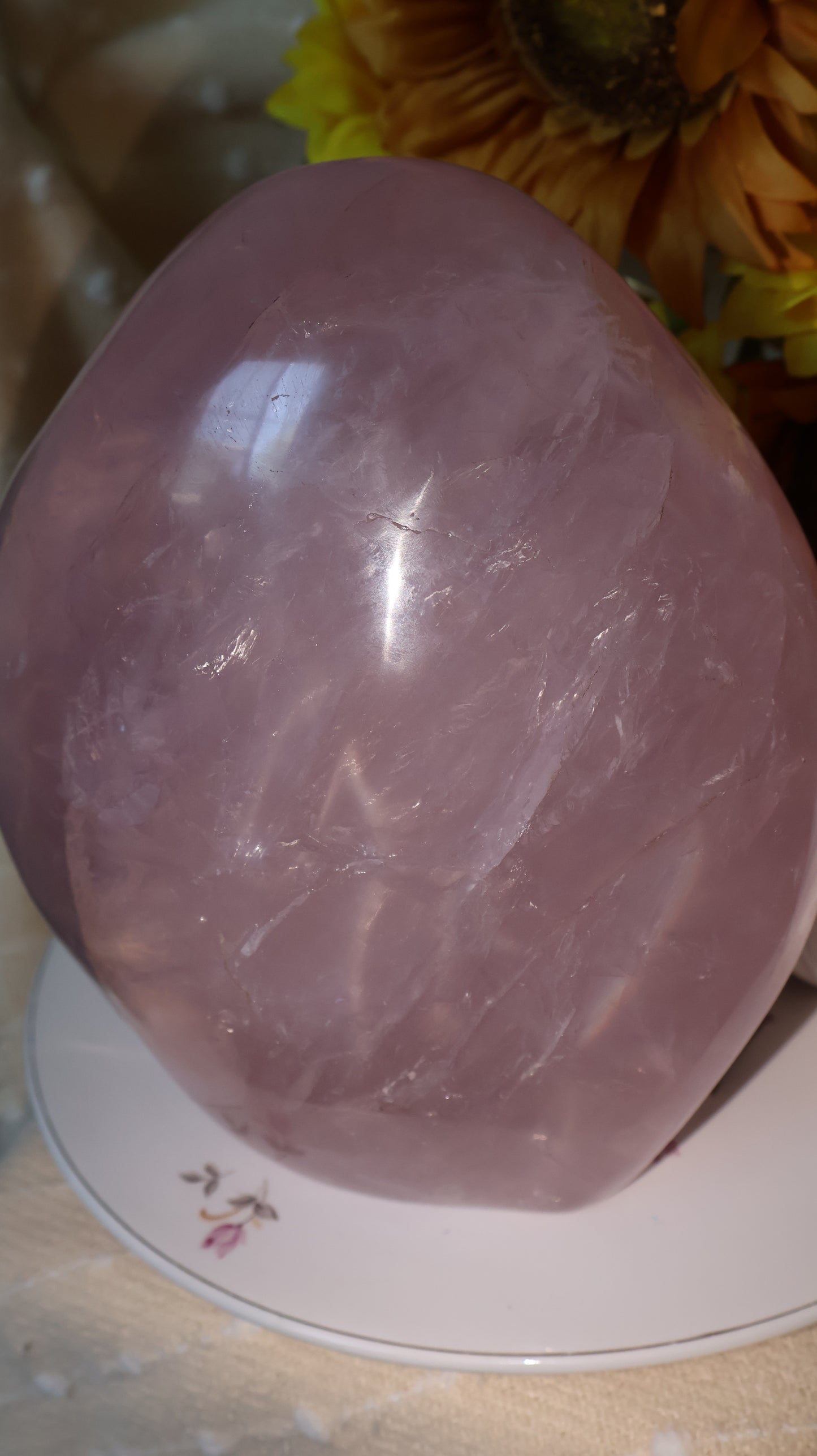 ✨Statement✨ 15lb Silver Asterism Lavender Star Rose Quartz Freeform