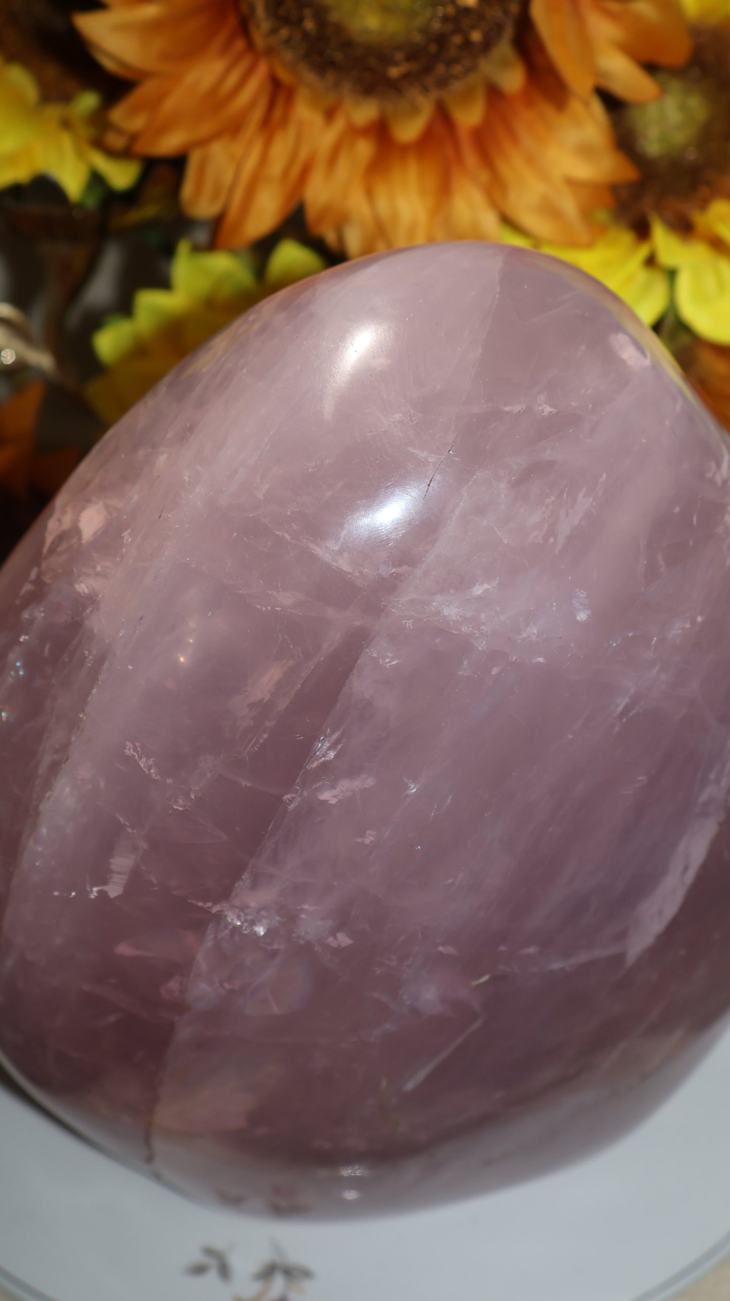 ✨Statement✨ 15lb Silver Asterism Lavender Star Rose Quartz Freeform