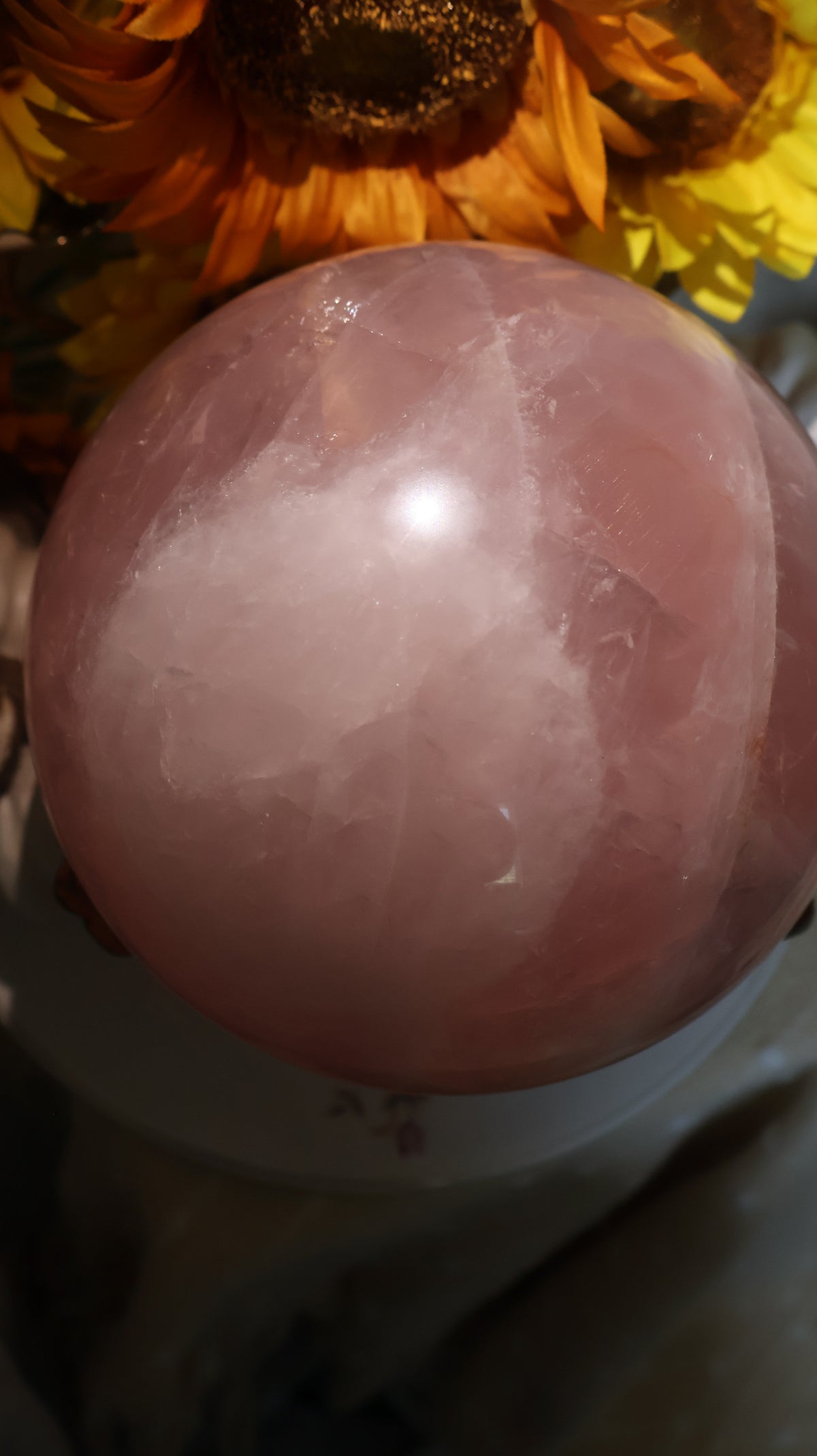 ✨Statement✨ 15lb Golden Asterism, Duo-Toned Rutile Filled Star Rose Quartz Sphere