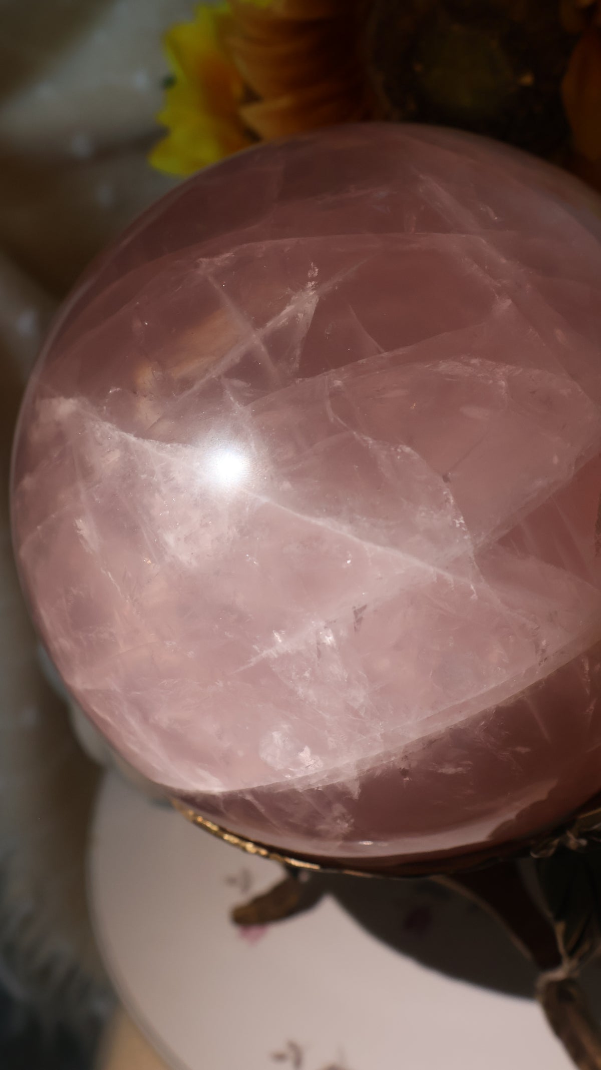 ✨Statement✨ 15lb Golden Asterism, Duo-Toned Rutile Filled Star Rose Quartz Sphere