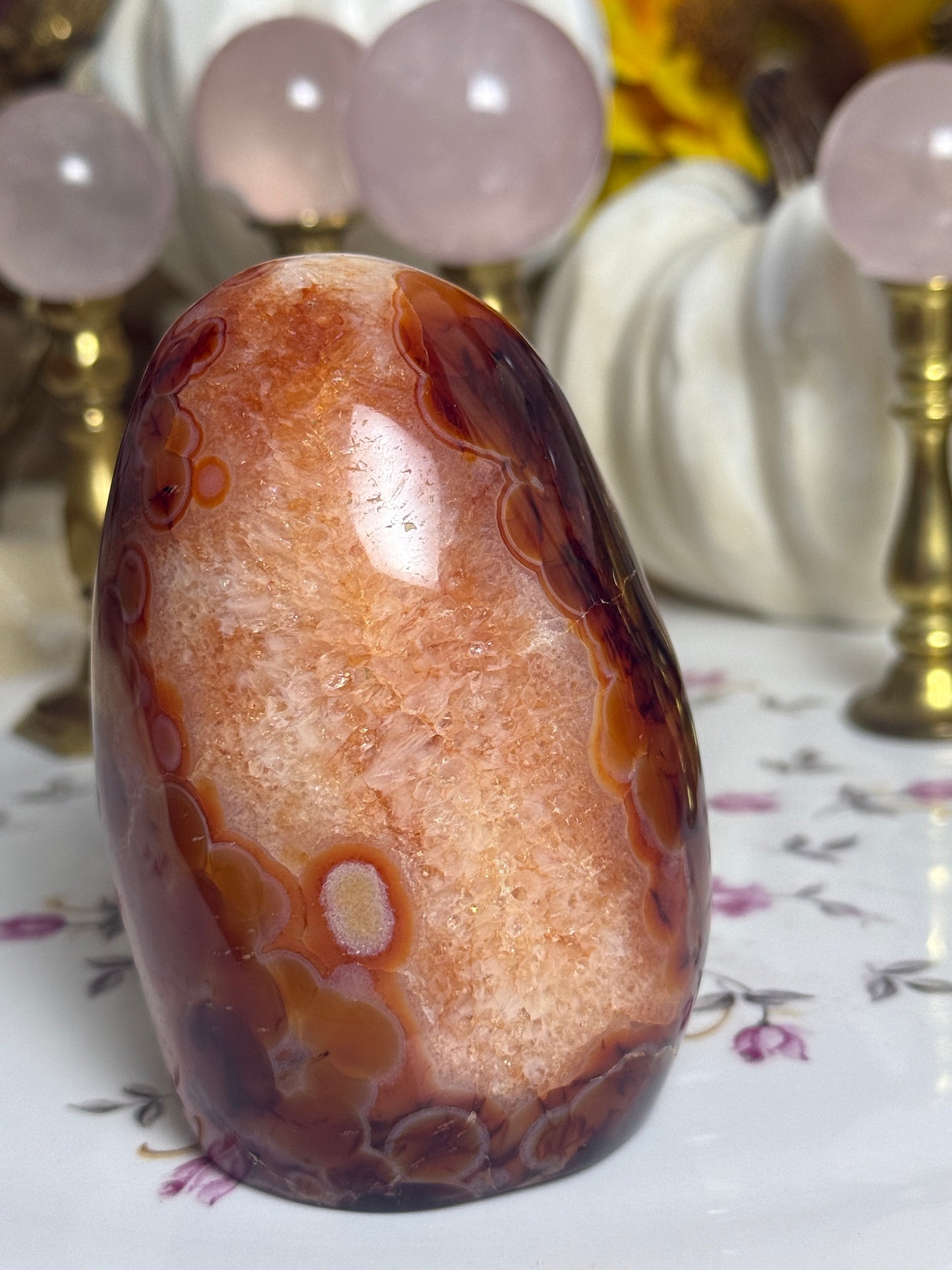 Quartz Agate Banded Carnelian Freeform