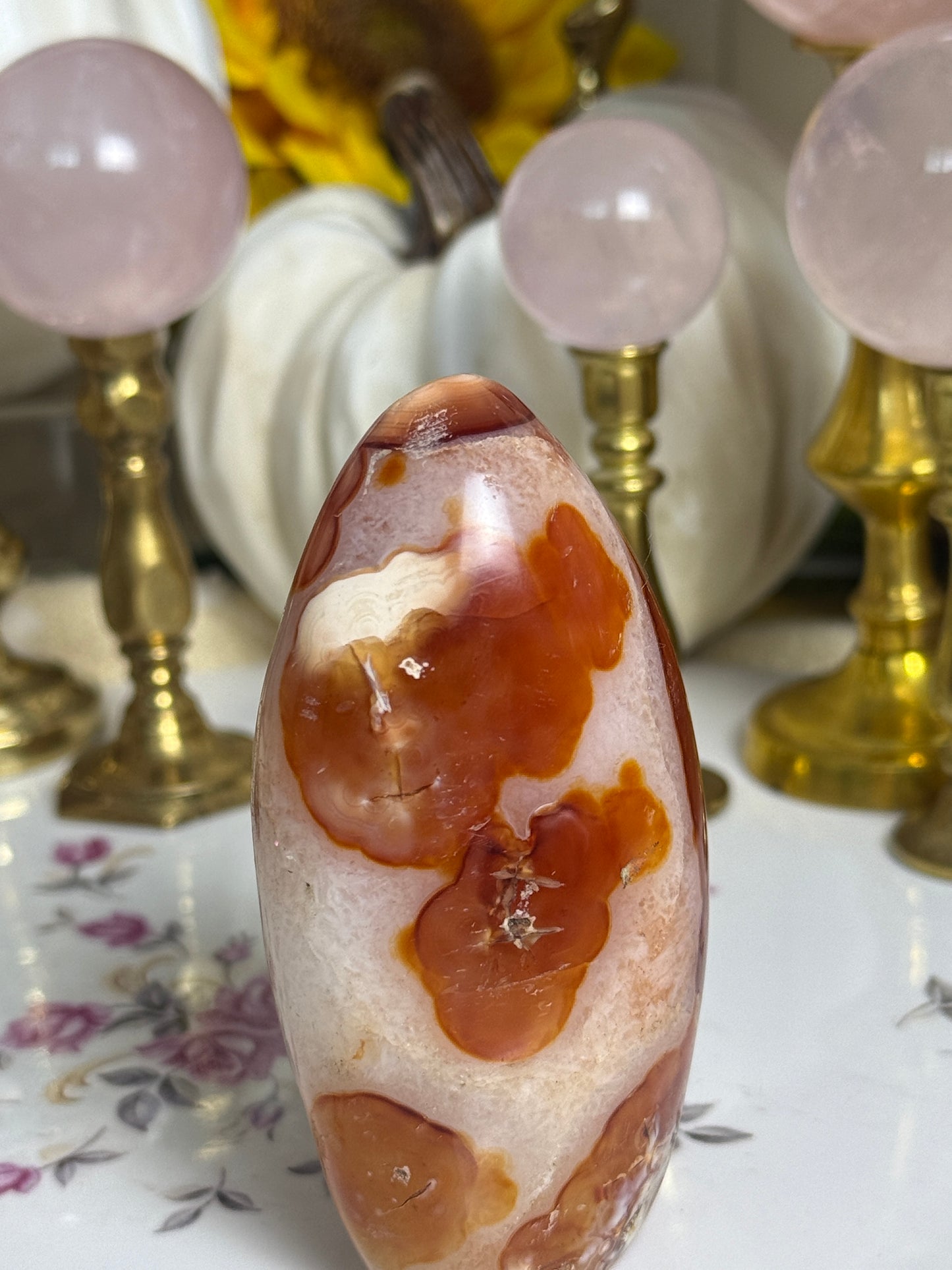 Koi Fish Duo Toned Carnelian Freeform