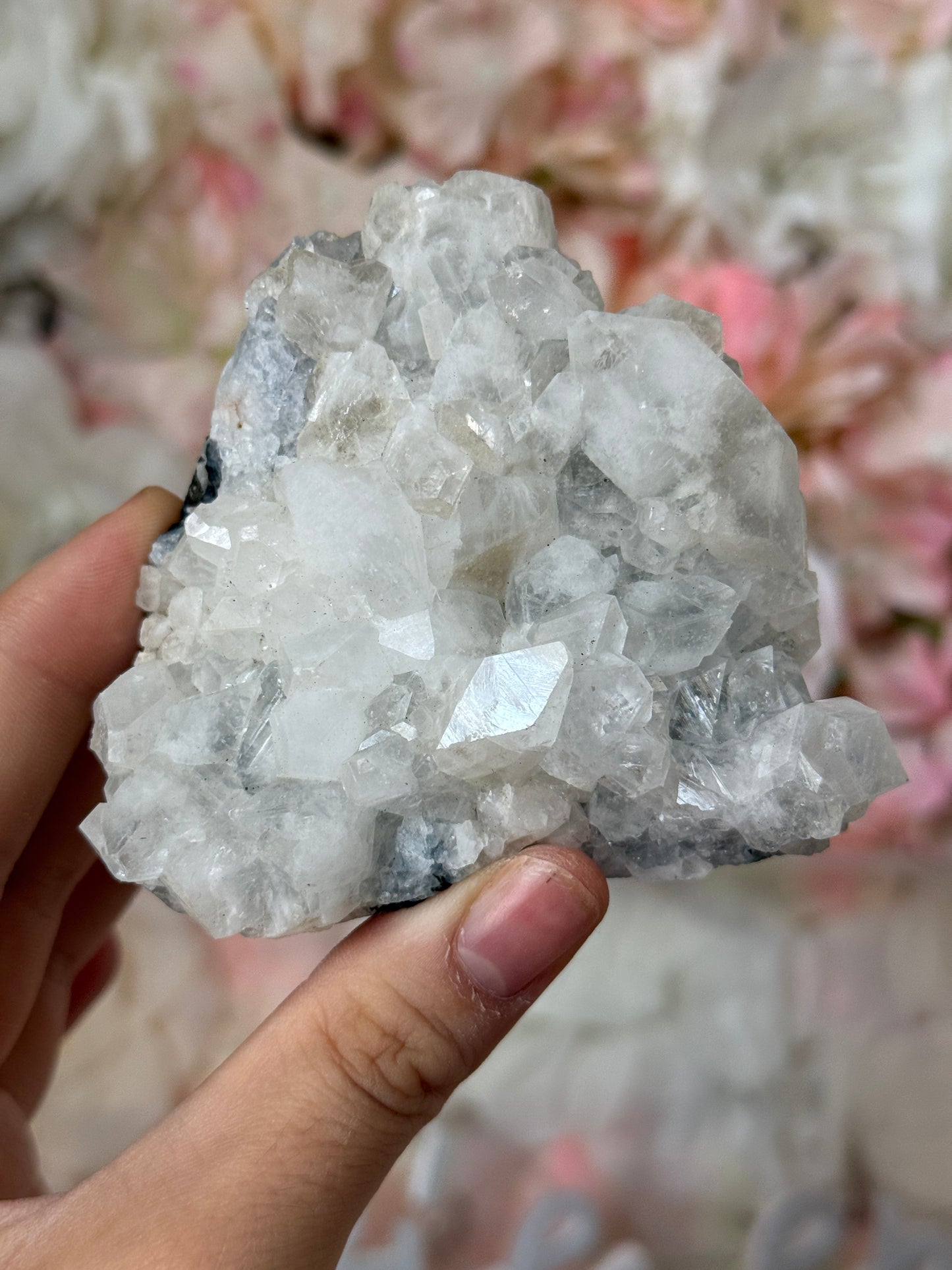 Diamond Apothyllite Speciman F💎✨