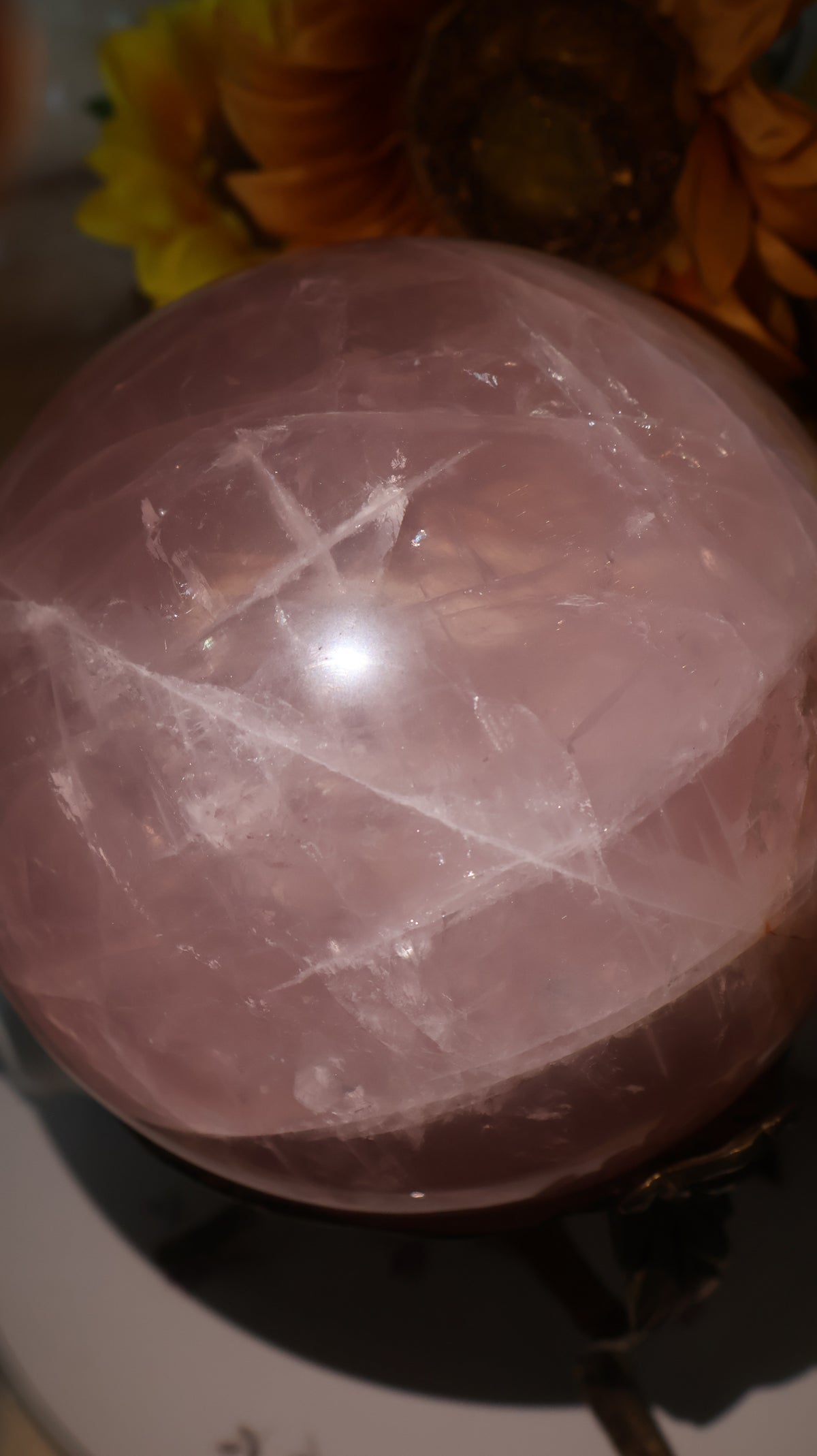 ✨Statement✨ 15lb Golden Asterism, Duo-Toned Rutile Filled Star Rose Quartz Sphere