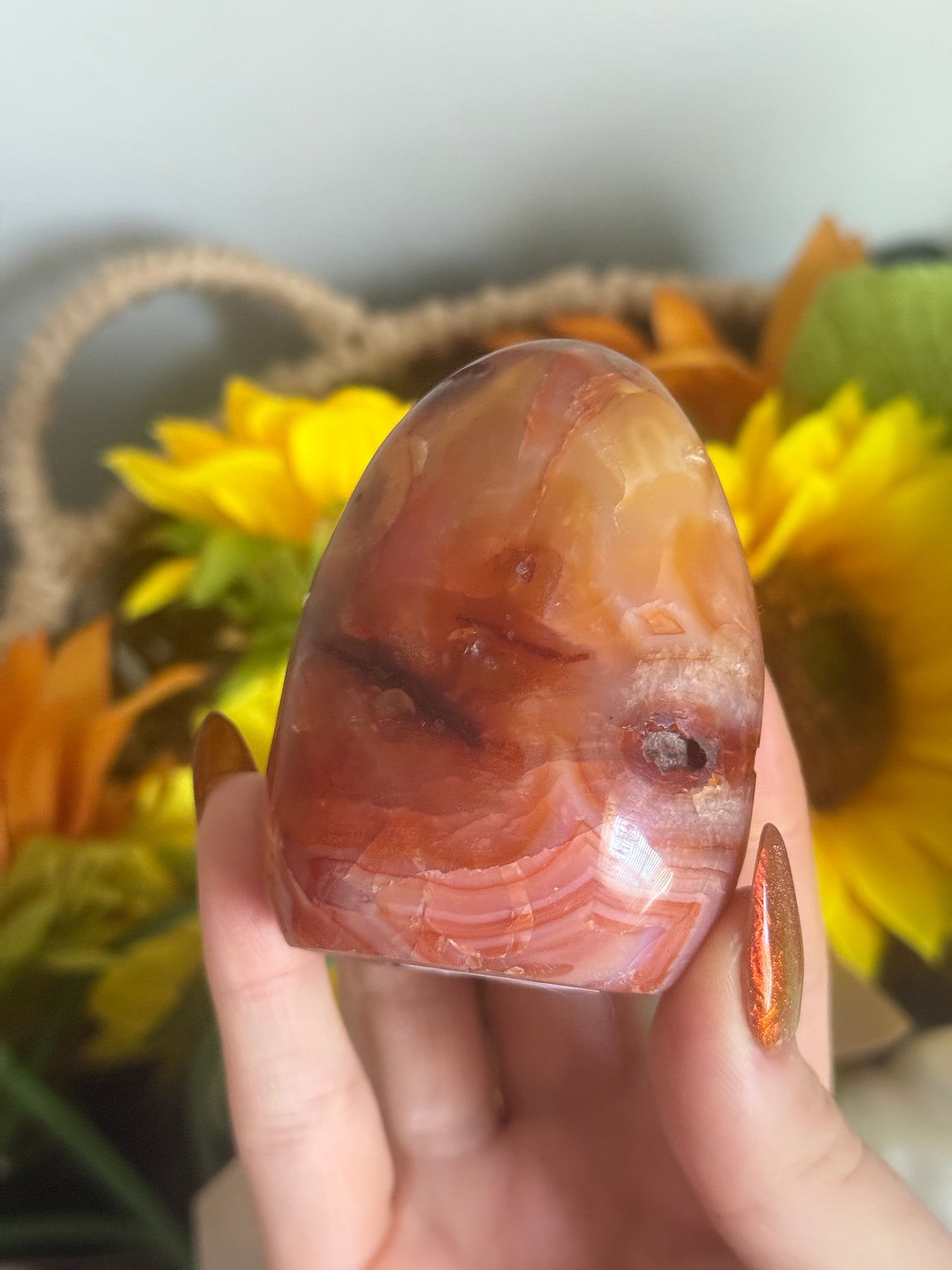 Rainbow Banded Coral Carnelian Freeform