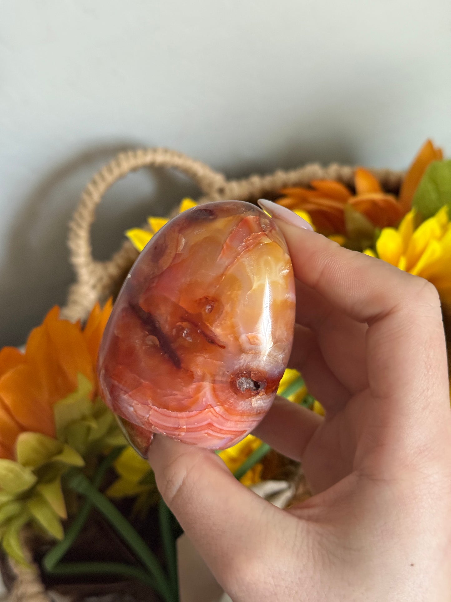 Rainbow Banded Coral Carnelian Freeform
