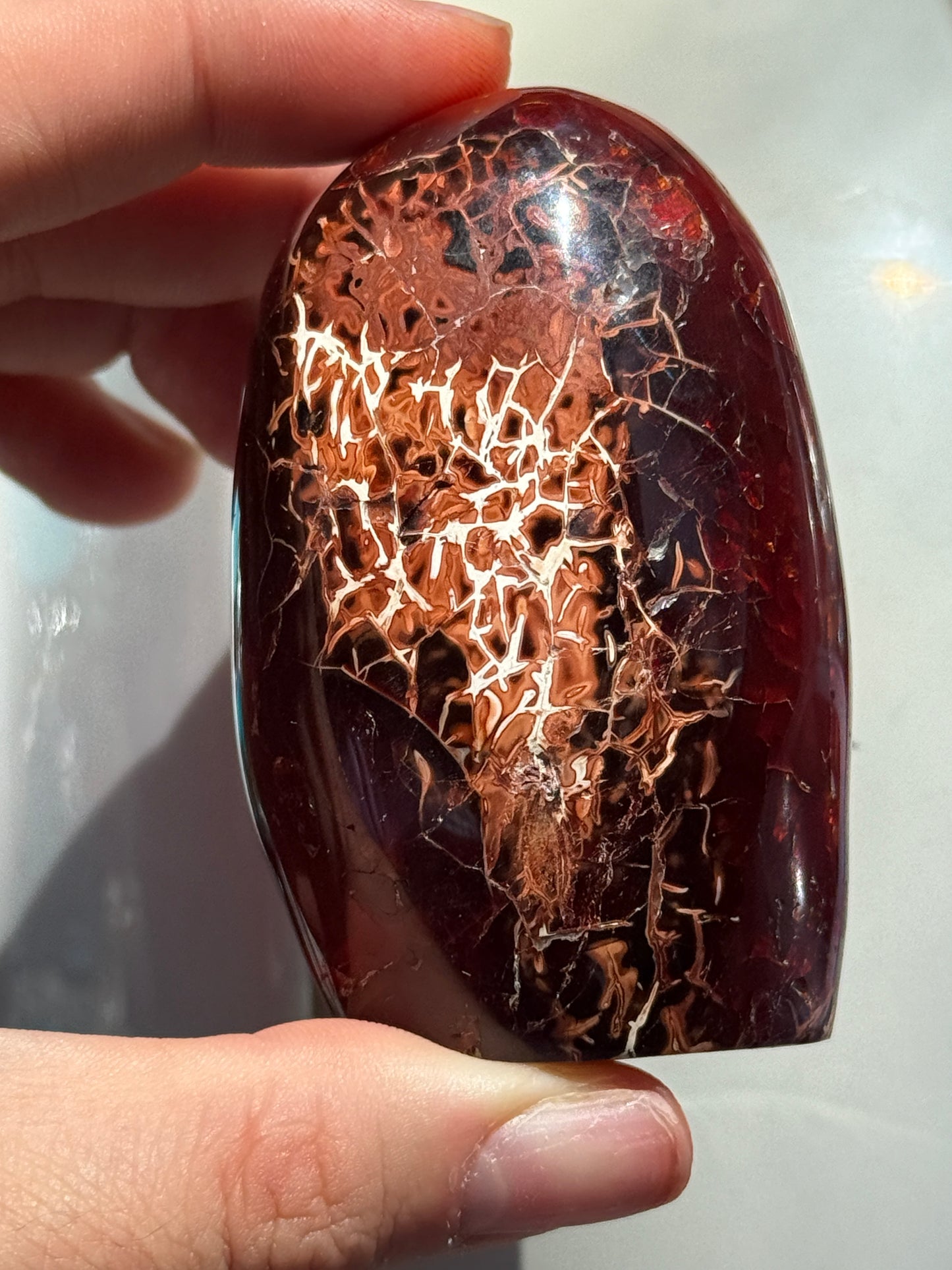 Funky One of a Kind Chocolate Carnelian Freeform