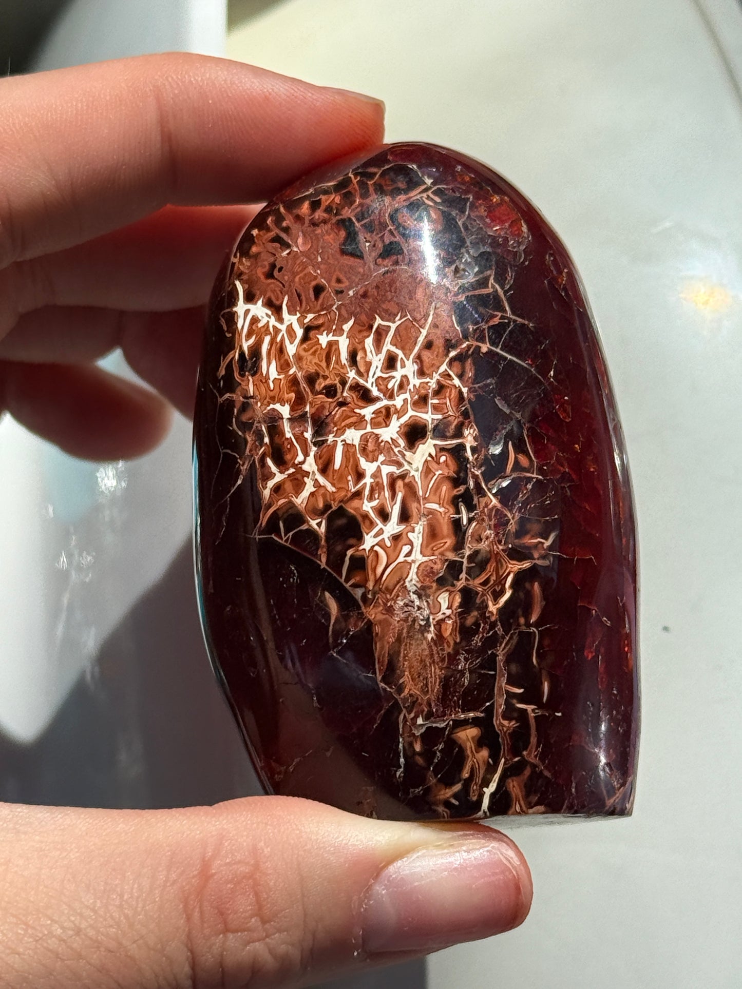 Funky One of a Kind Chocolate Carnelian Freeform