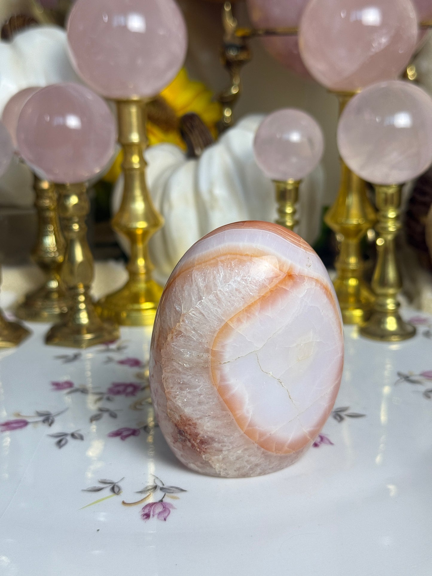 Gorgeous White Coral Banded Carnelian Freeform