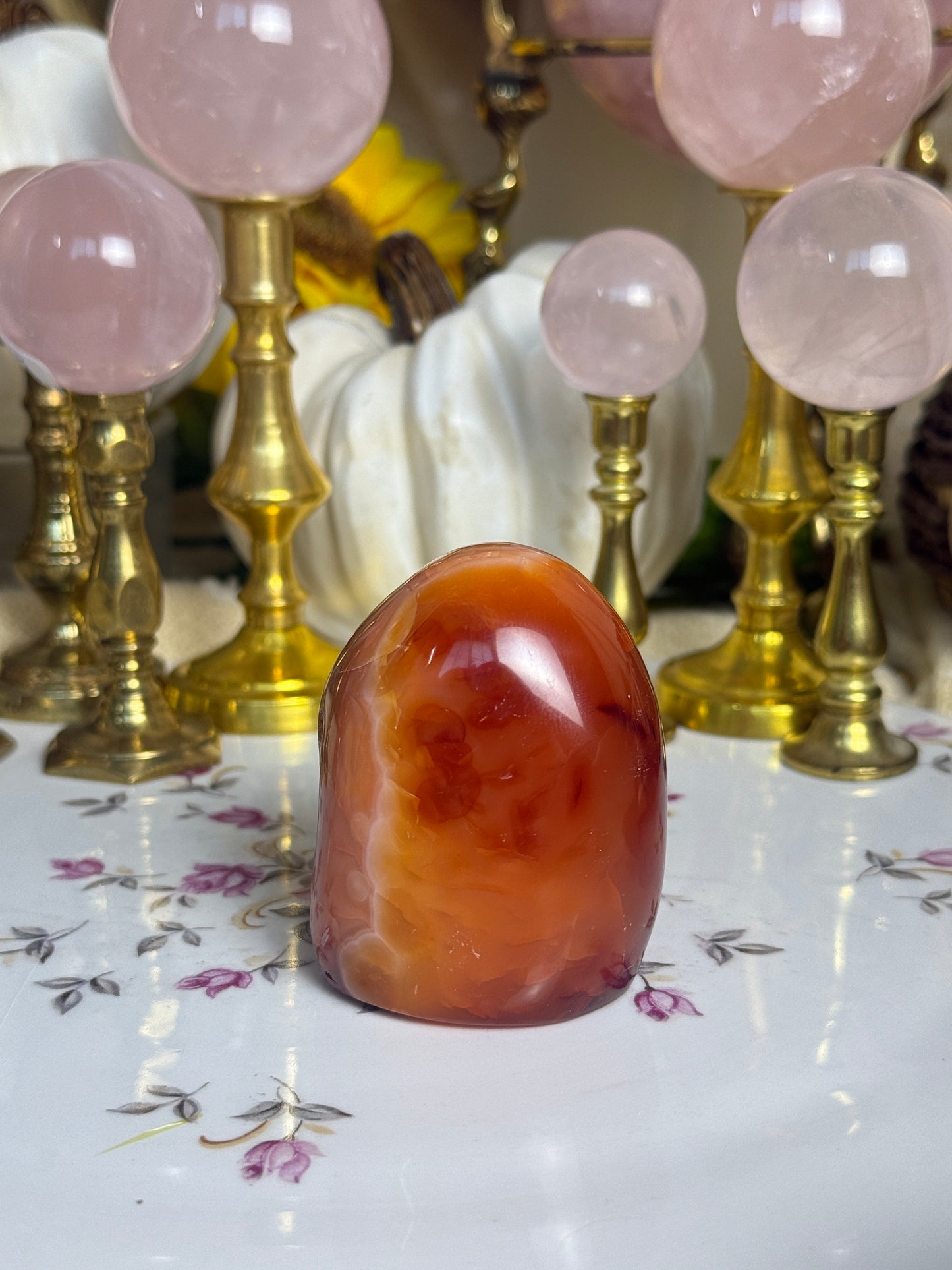 Coral Pink Banded Agave Cave Carnelian Freeform