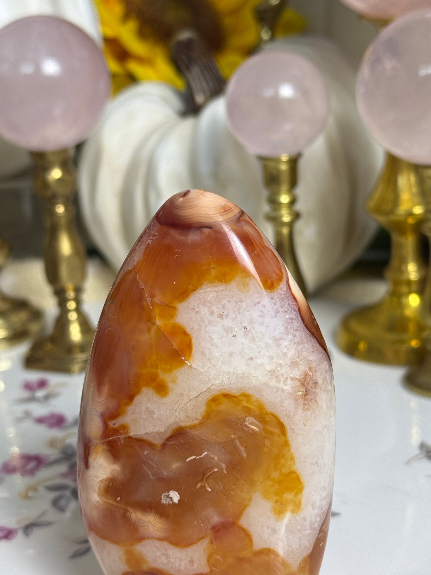 Koi Fish Duo Toned Carnelian Freeform