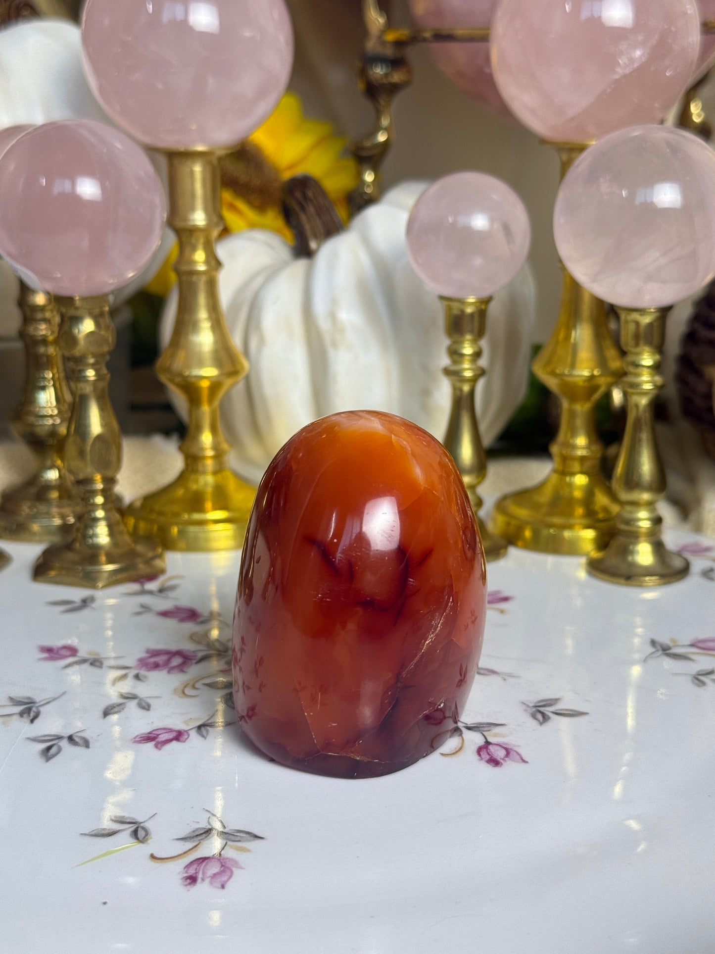 Coral Pink Banded Agave Cave Carnelian Freeform