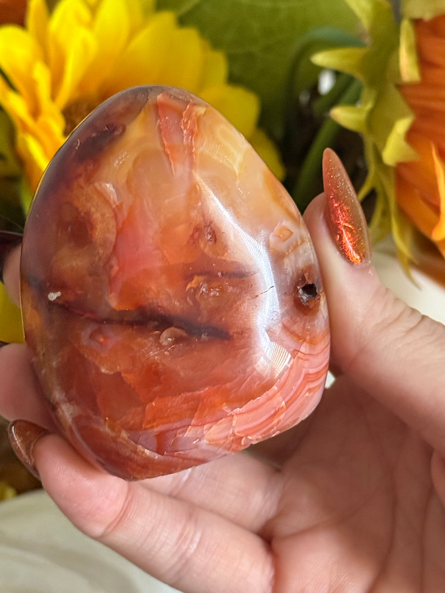 Rainbow Banded Coral Carnelian Freeform