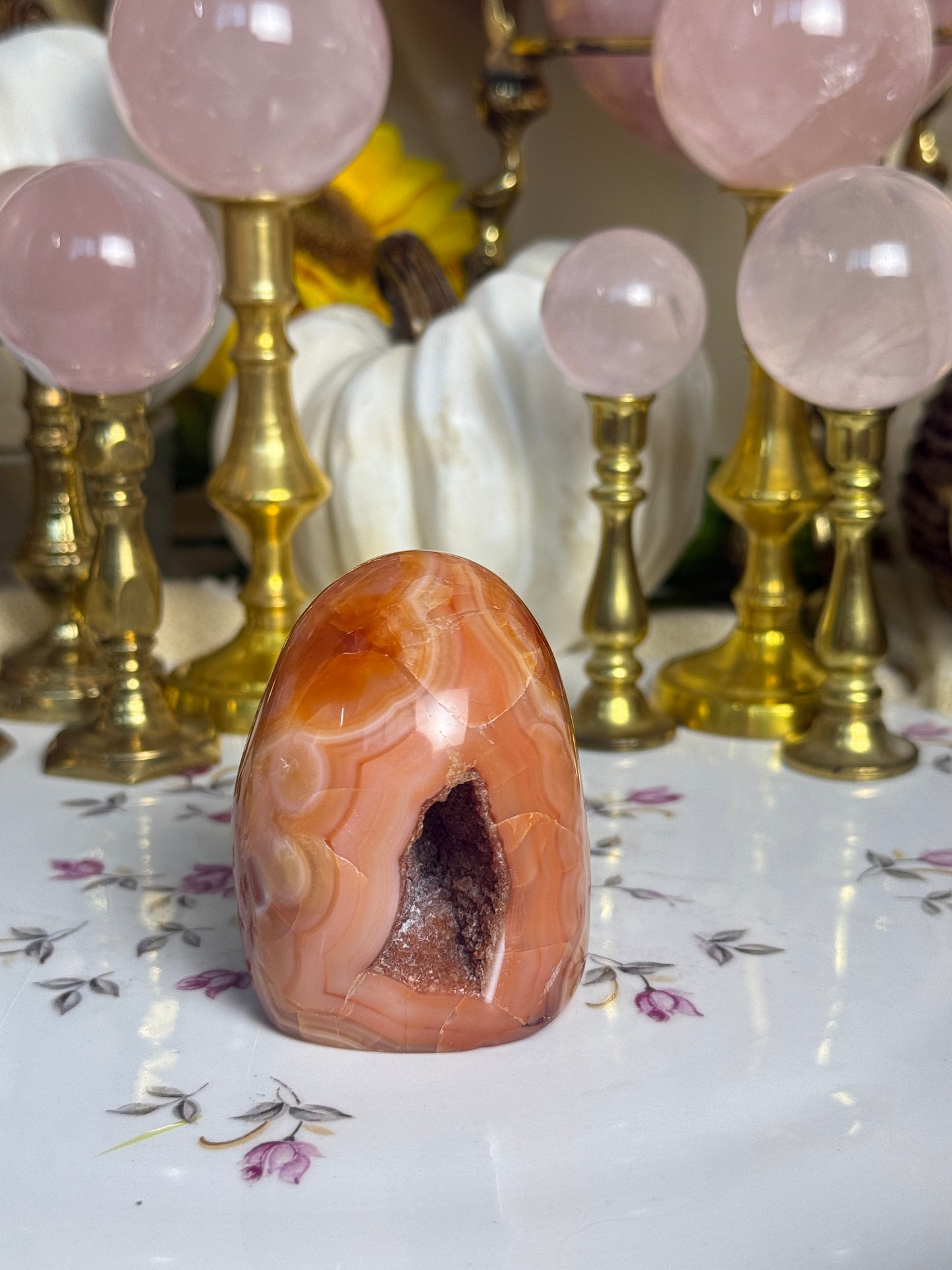 Coral Pink Banded Agave Cave Carnelian Freeform