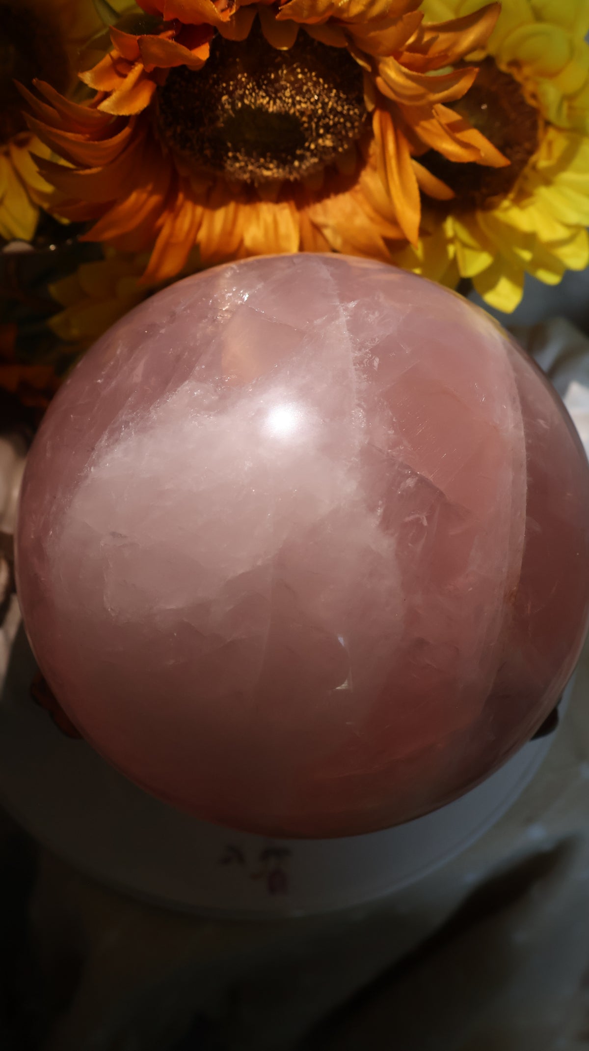 ✨Statement✨ 15lb Golden Asterism, Duo-Toned Rutile Filled Star Rose Quartz Sphere