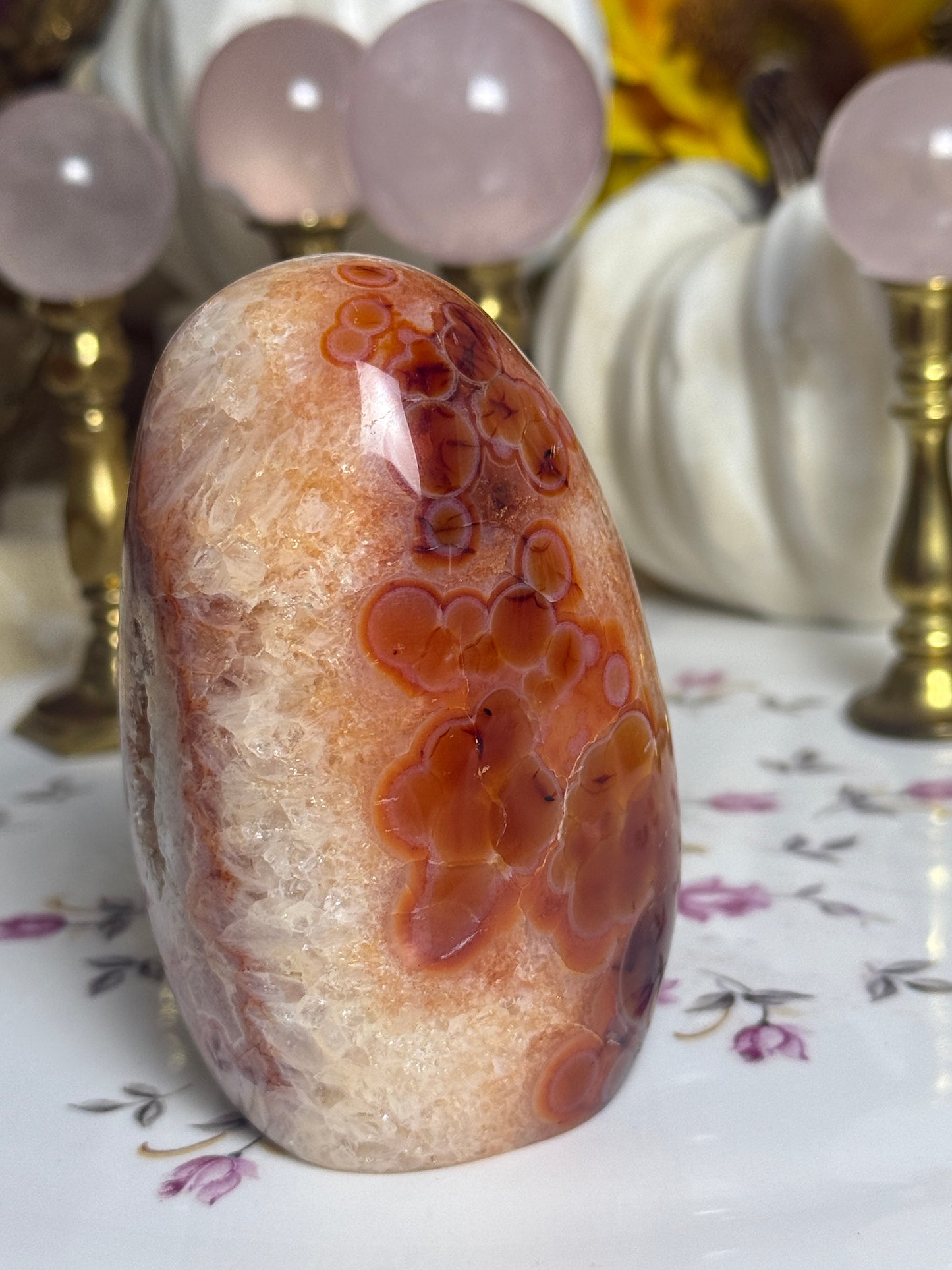 Quartz Agate Banded Carnelian Freeform