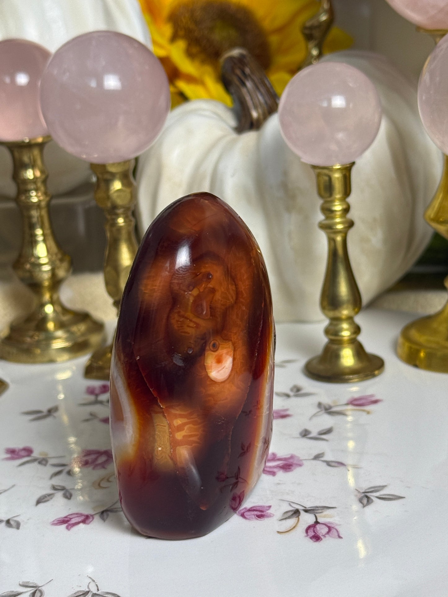 Chocolate Burgundy Duo Toned Carnelian Freeform