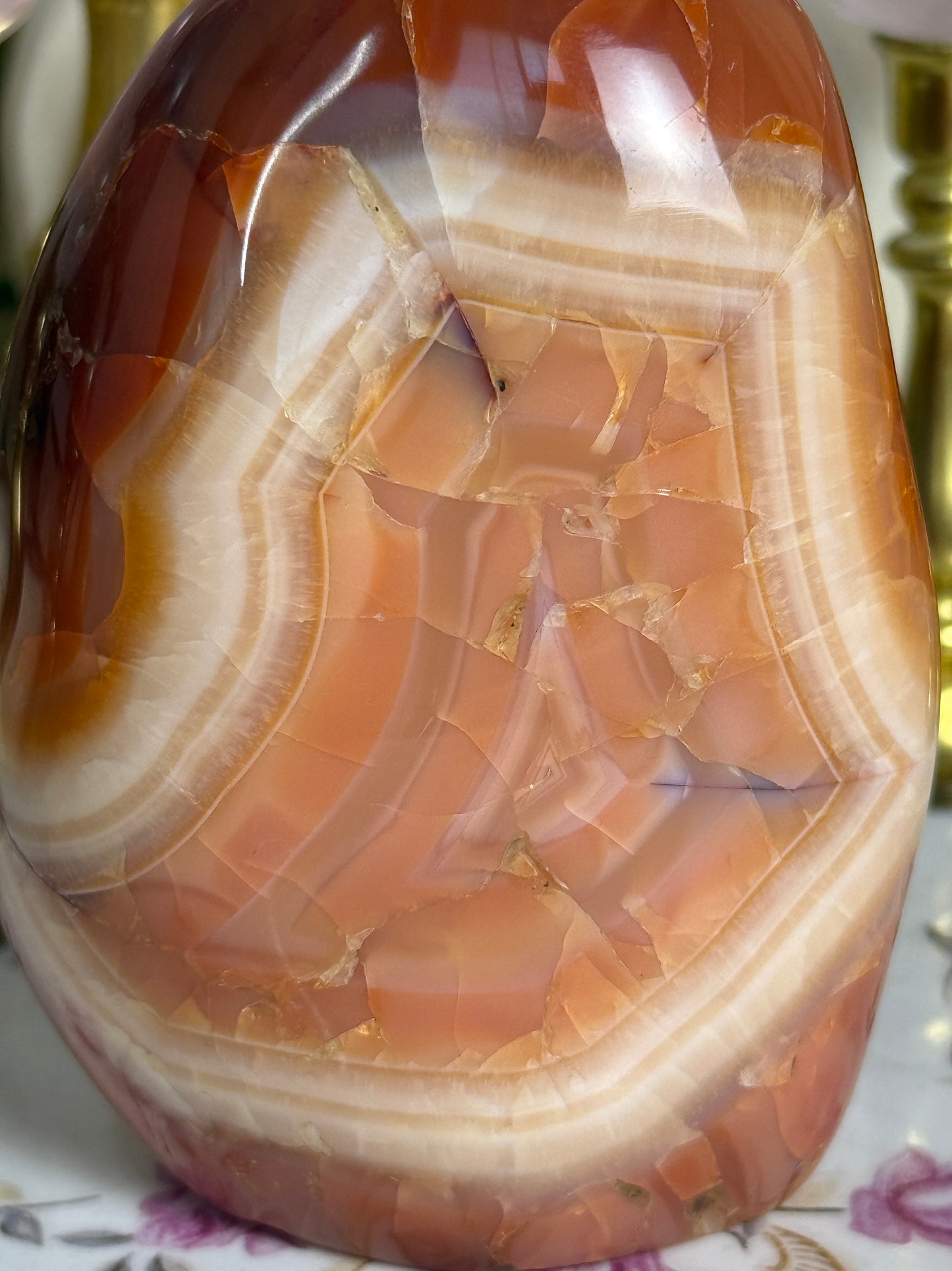 Peachy Banded Agate Carnelian Freeform