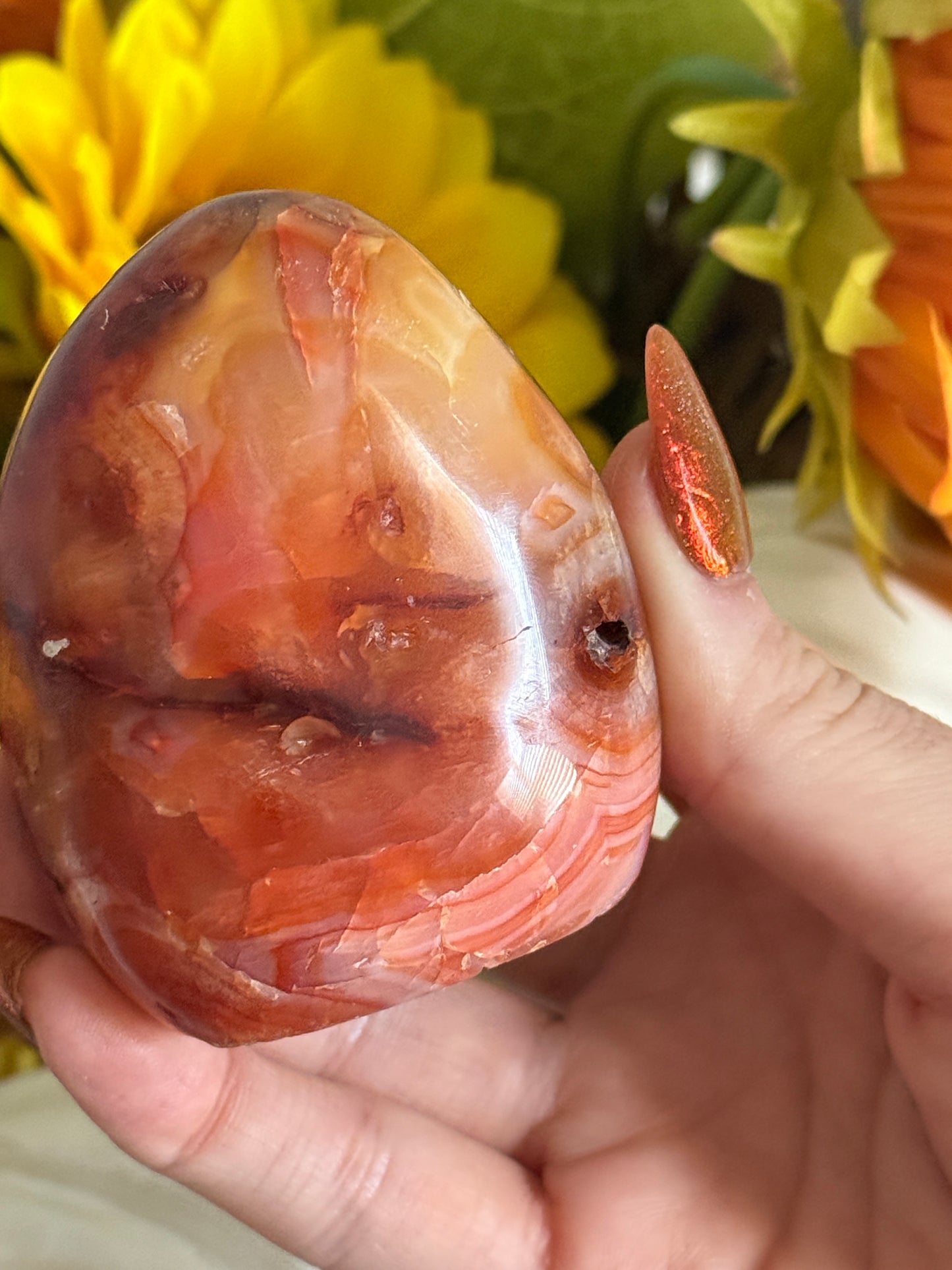 Rainbow Banded Coral Carnelian Freeform