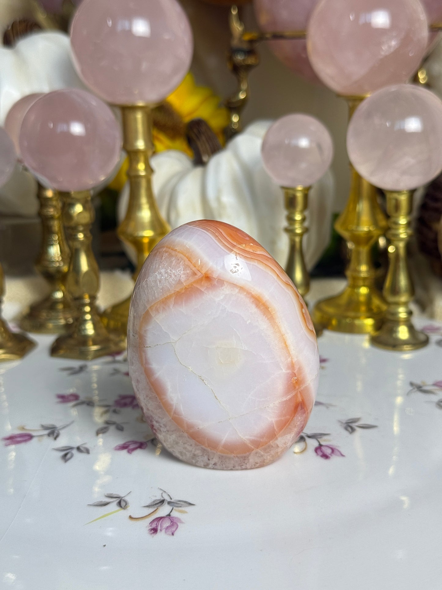 Gorgeous White Coral Banded Carnelian Freeform