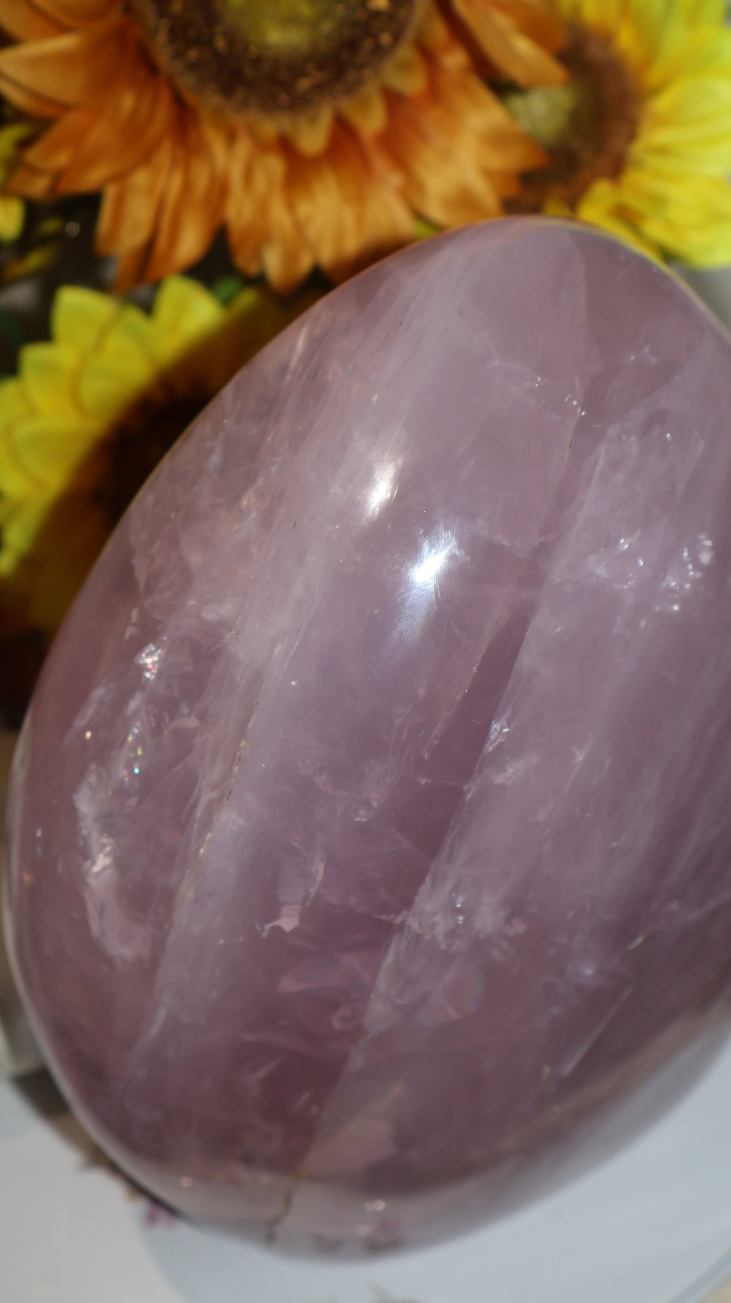 ✨Statement✨ 15lb Silver Asterism Lavender Star Rose Quartz Freeform