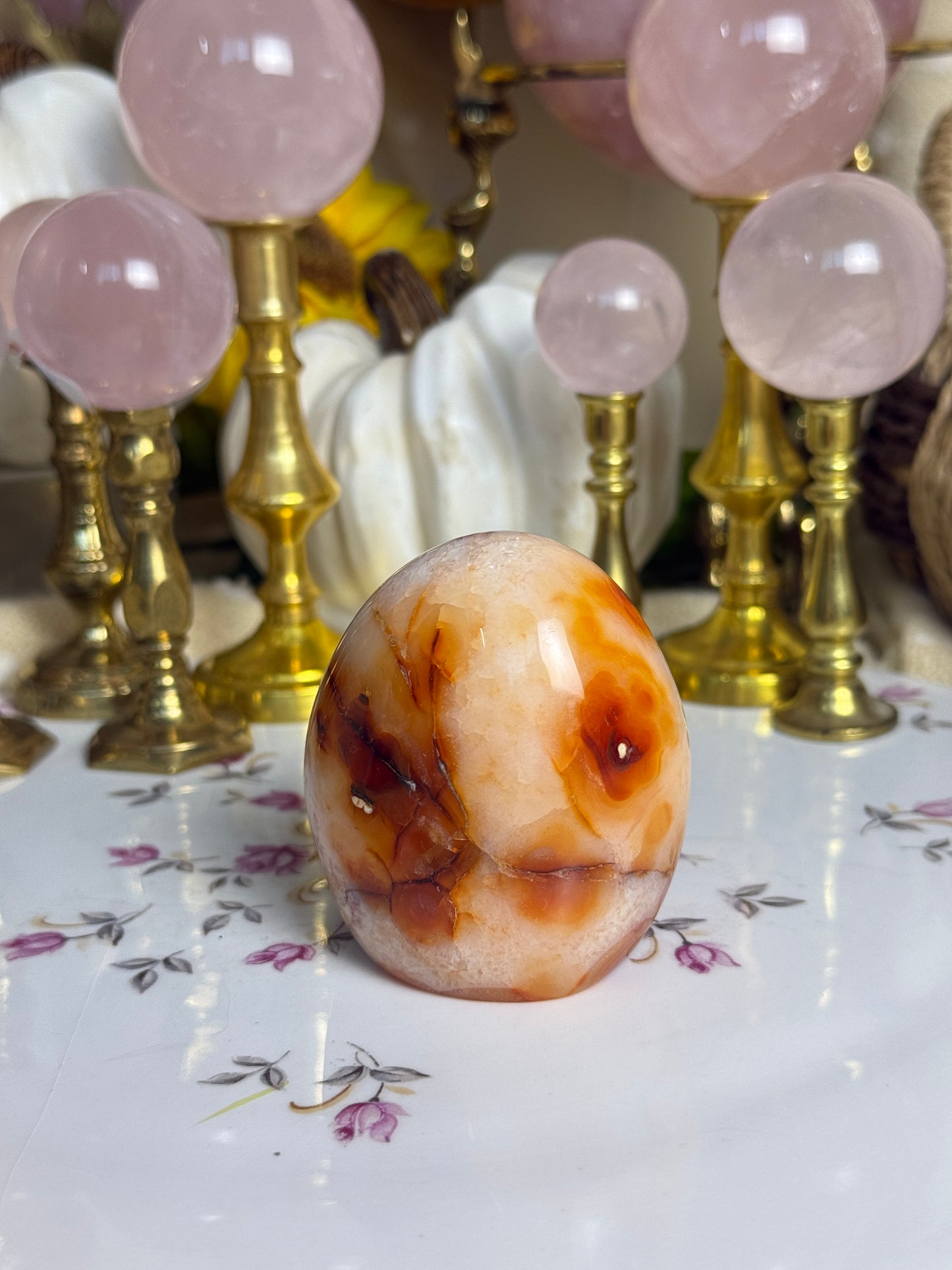 Orca Agate Droozy Banded Carnelian Freeform