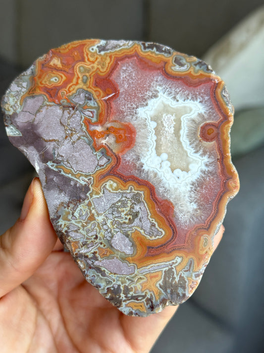 Montana Dryhead Agate