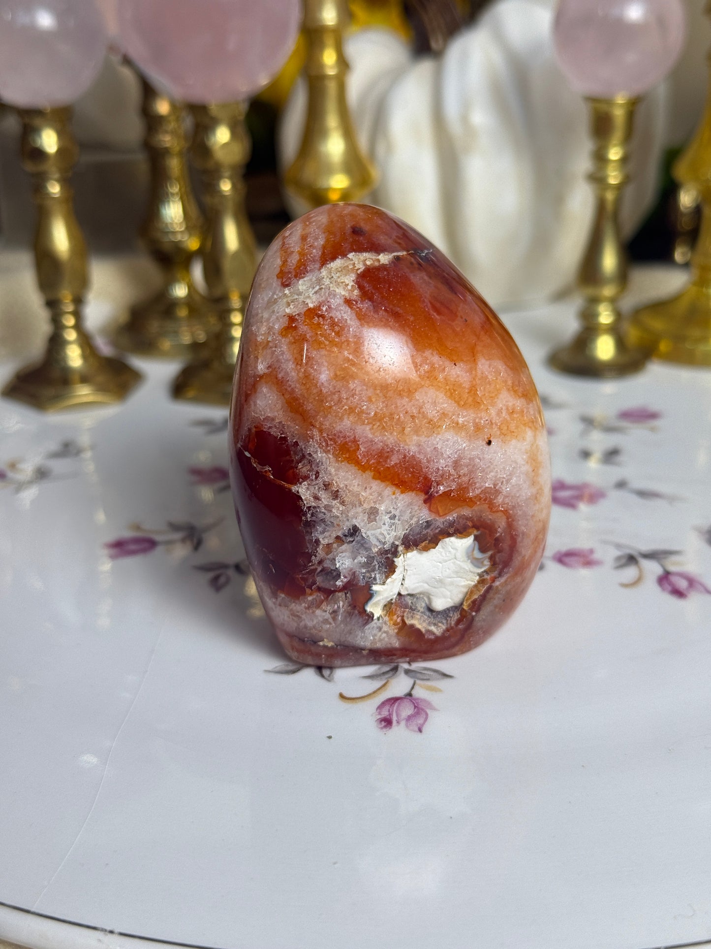 Quartz Filled Coral Carnelian Freeform