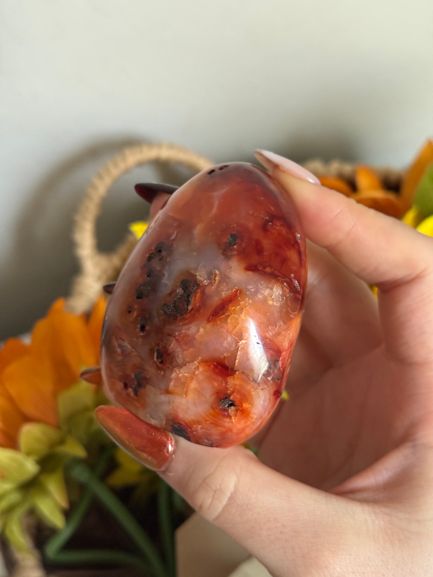 Rainbow Banded Coral Carnelian Freeform