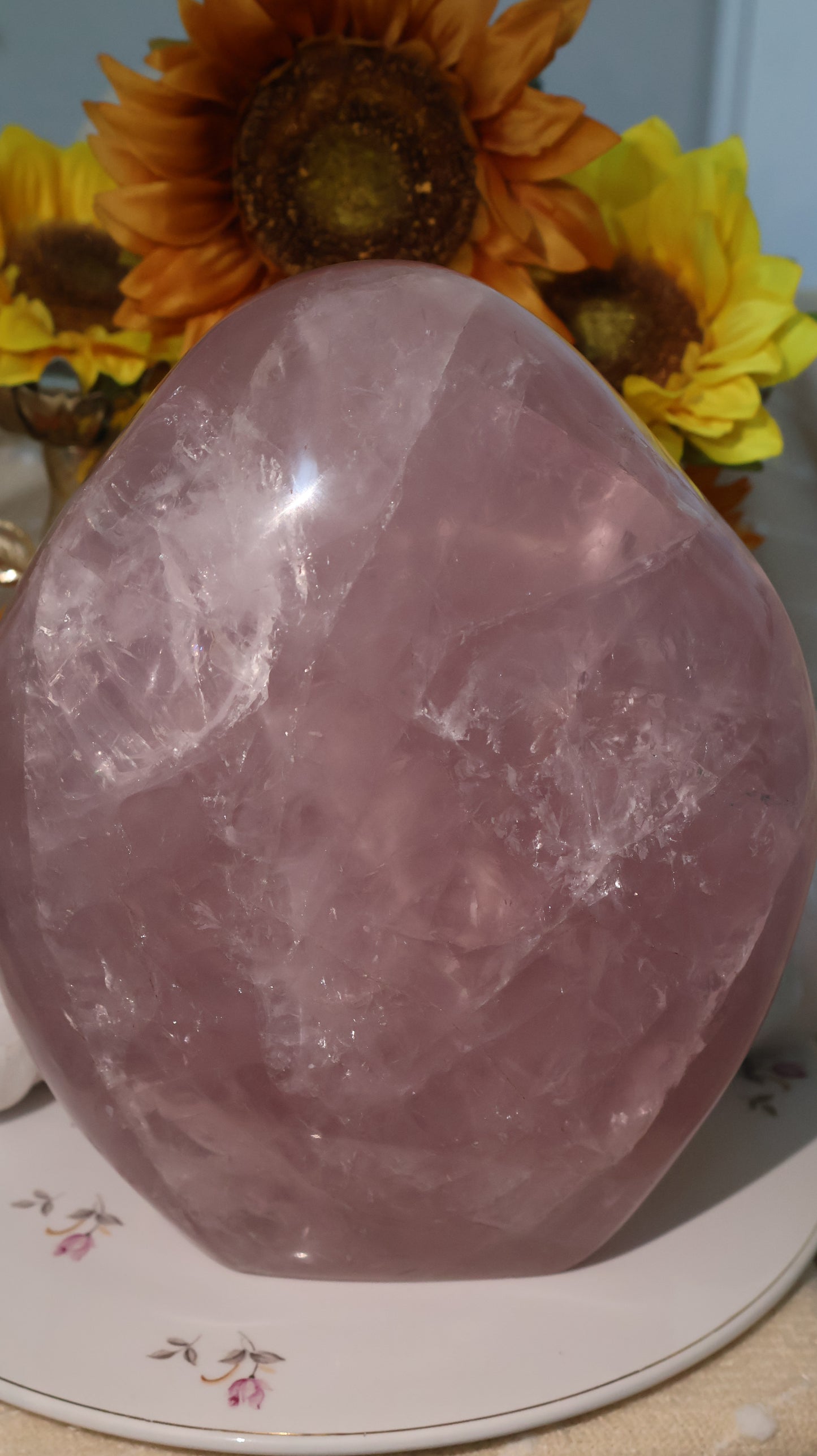 ✨Statement✨ 15lb Silver Asterism Lavender Star Rose Quartz Freeform