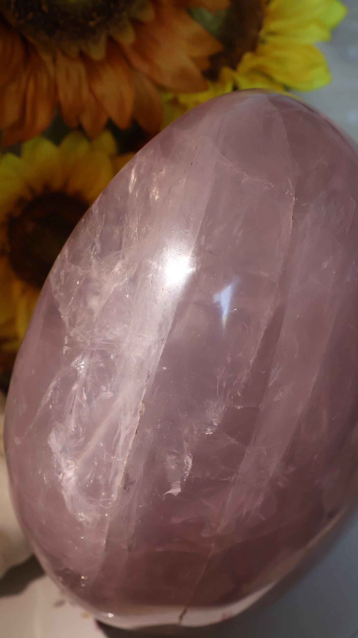 ✨Statement✨ 15lb Silver Asterism Lavender Star Rose Quartz Freeform
