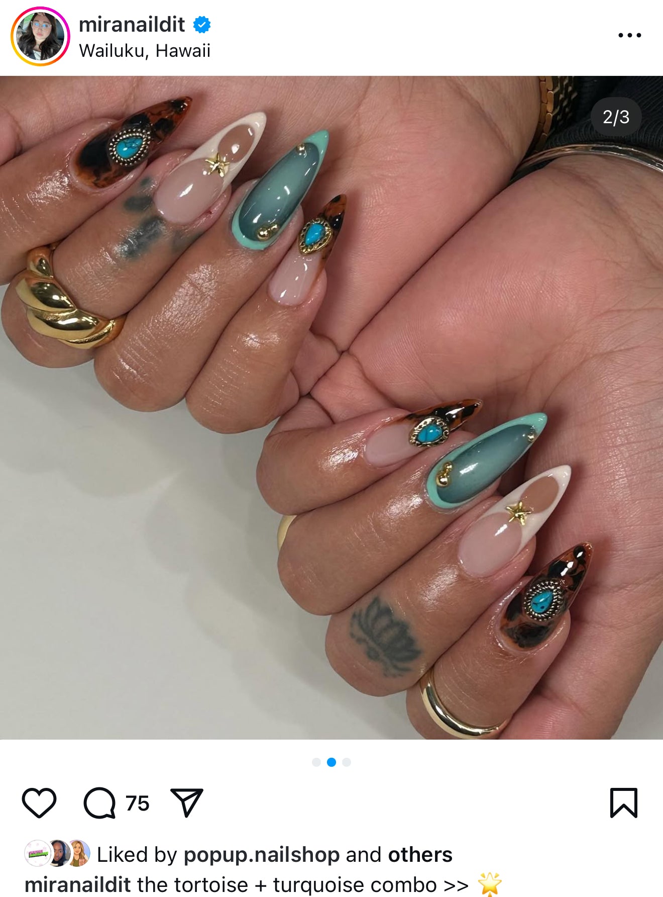 Tortoise Bling- Copy and Paste Set