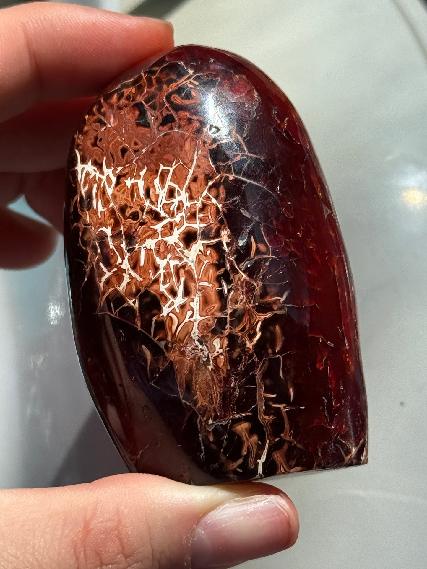 Funky One of a Kind Chocolate Carnelian Freeform