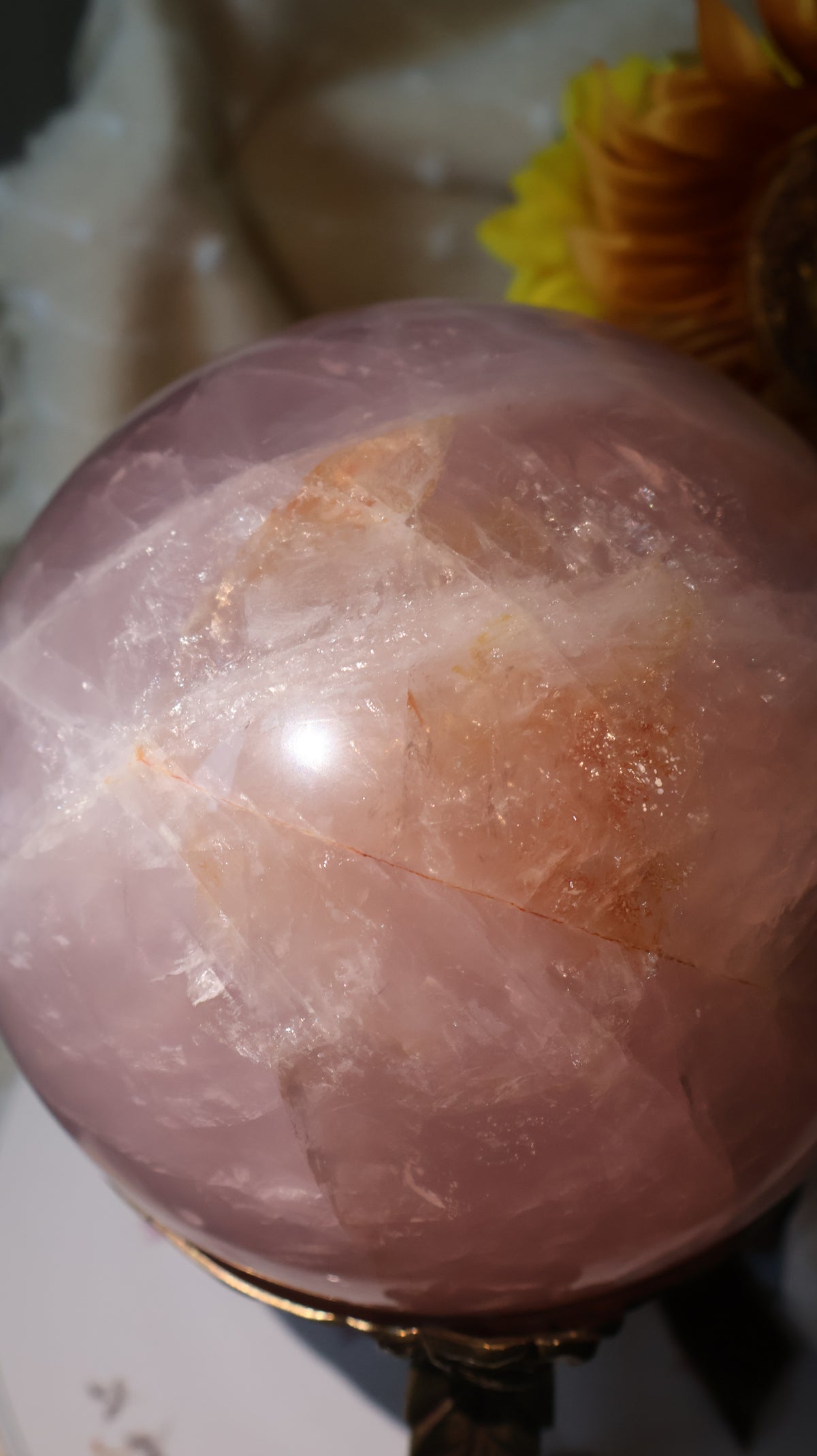 ✨Statement✨ 15lb Golden Asterism, Duo-Toned Rutile Filled Star Rose Quartz Sphere