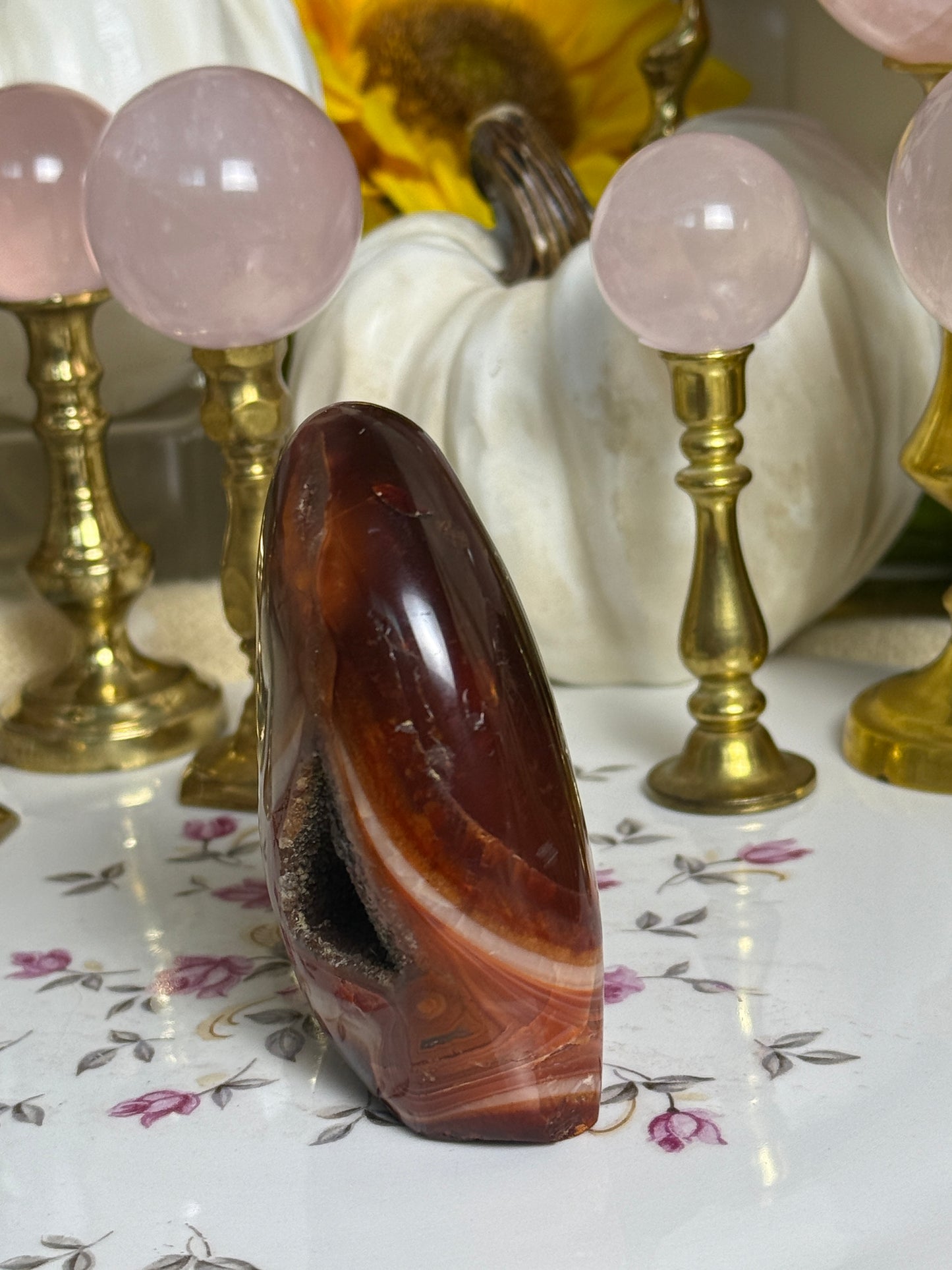 Chocolate Burgundy Duo Toned Carnelian Freeform