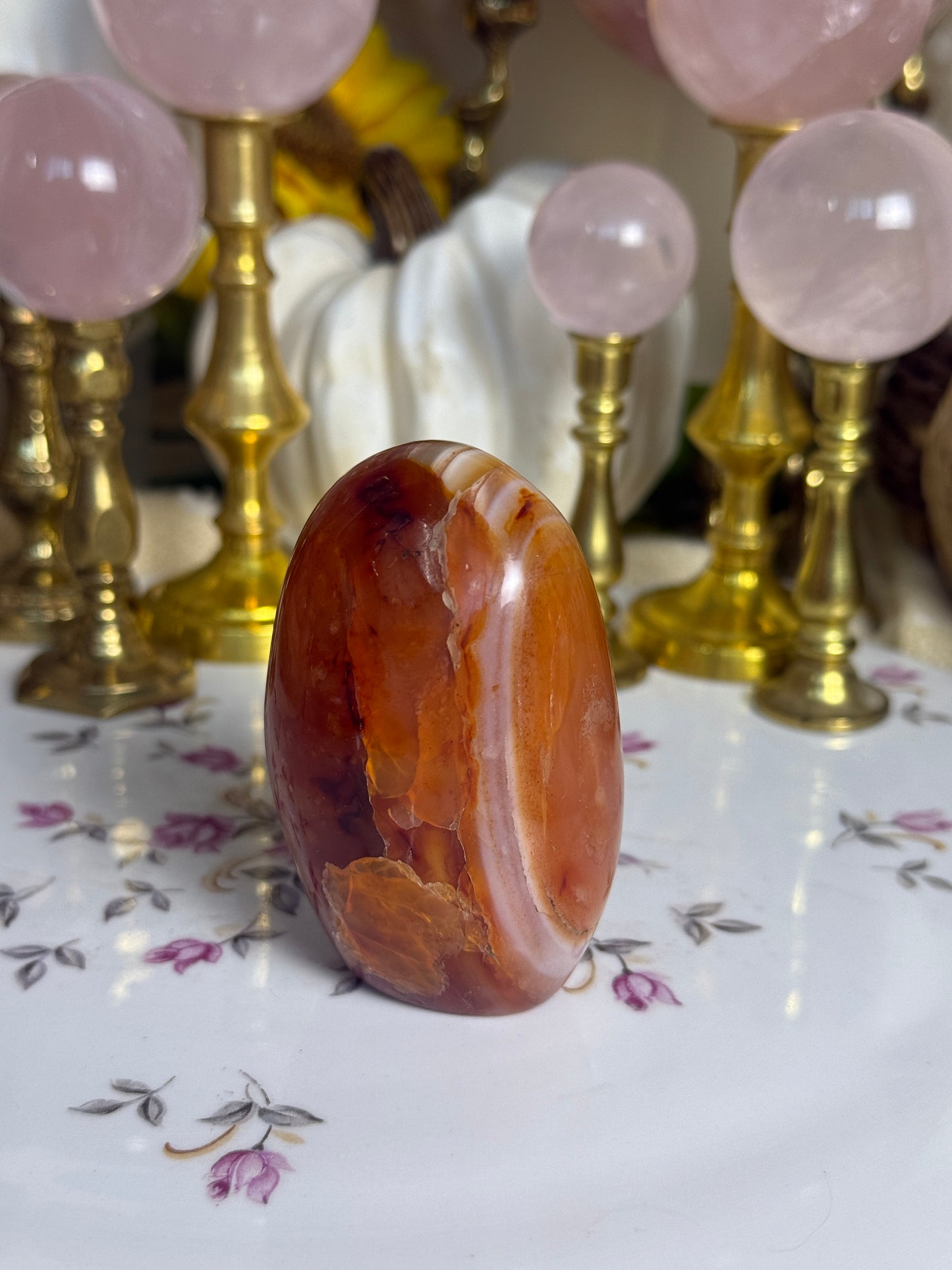 Caramel Mahogany Banded Carnelian Freeform